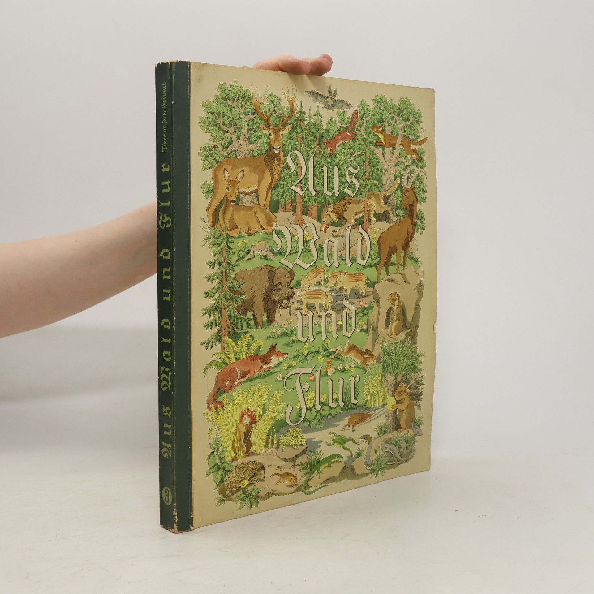 Autorenkollektiv Aus Wald und Flur 3