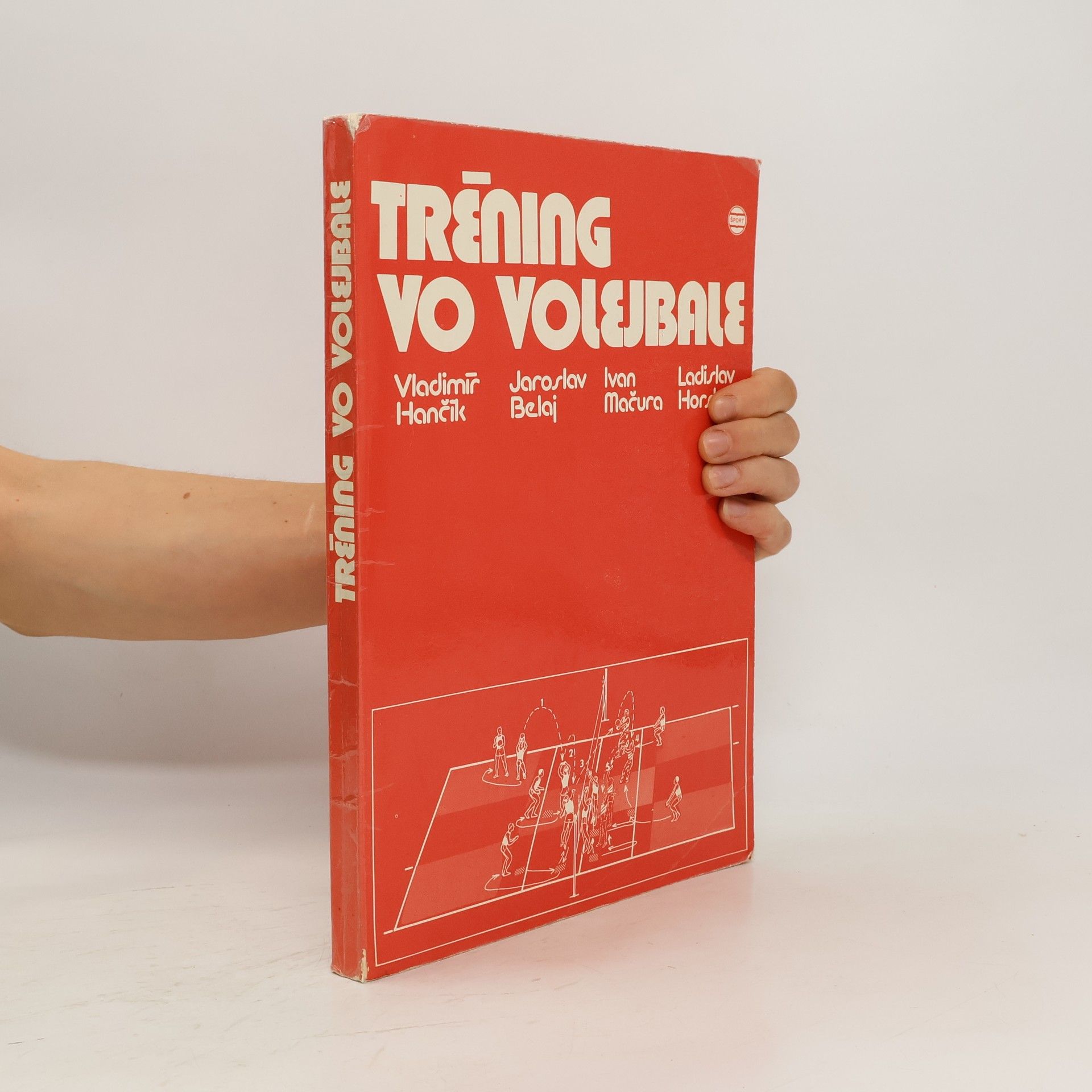 Vladimír Hančík Tréning vo volejbale
