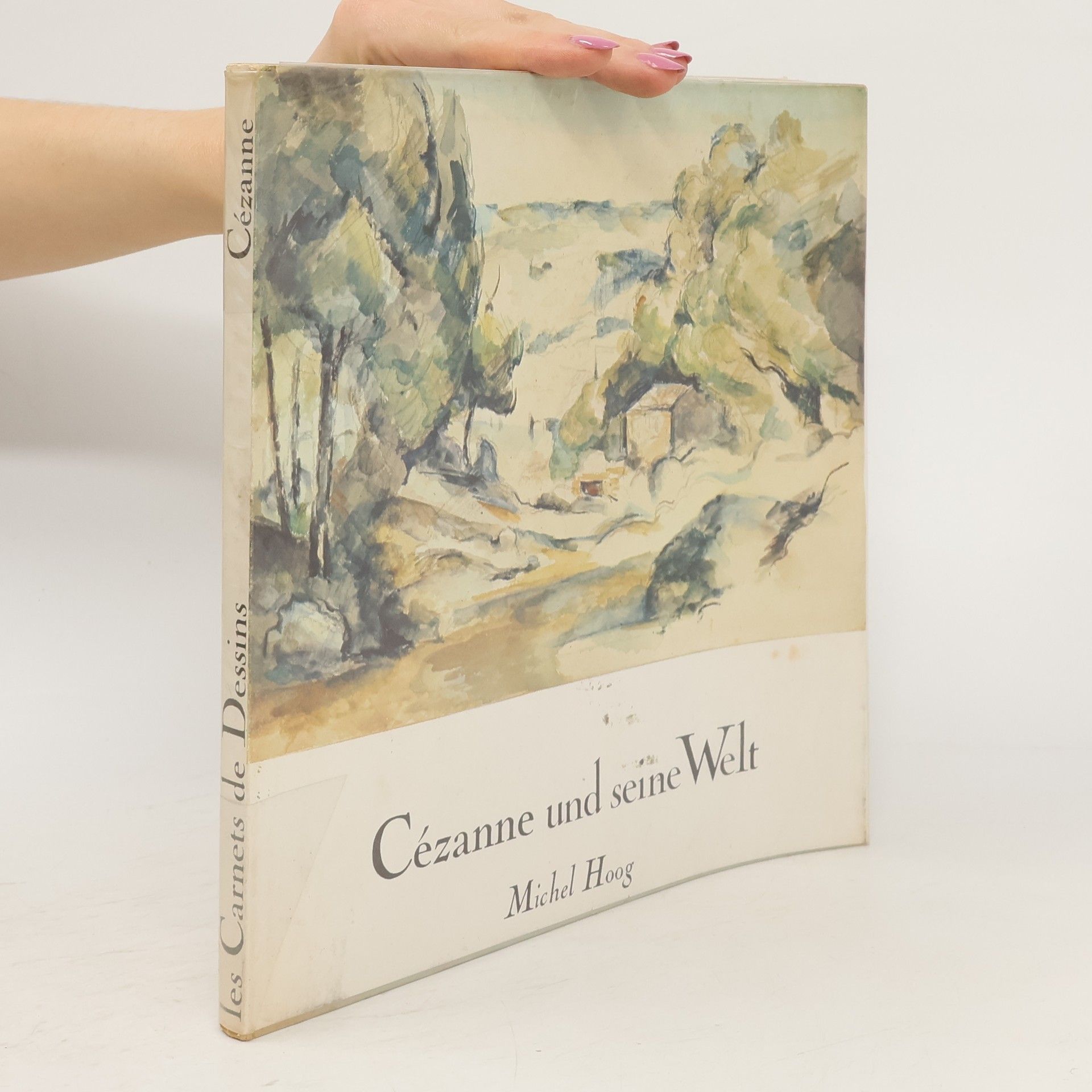 Michel Hoog Cézanne und seine Welt