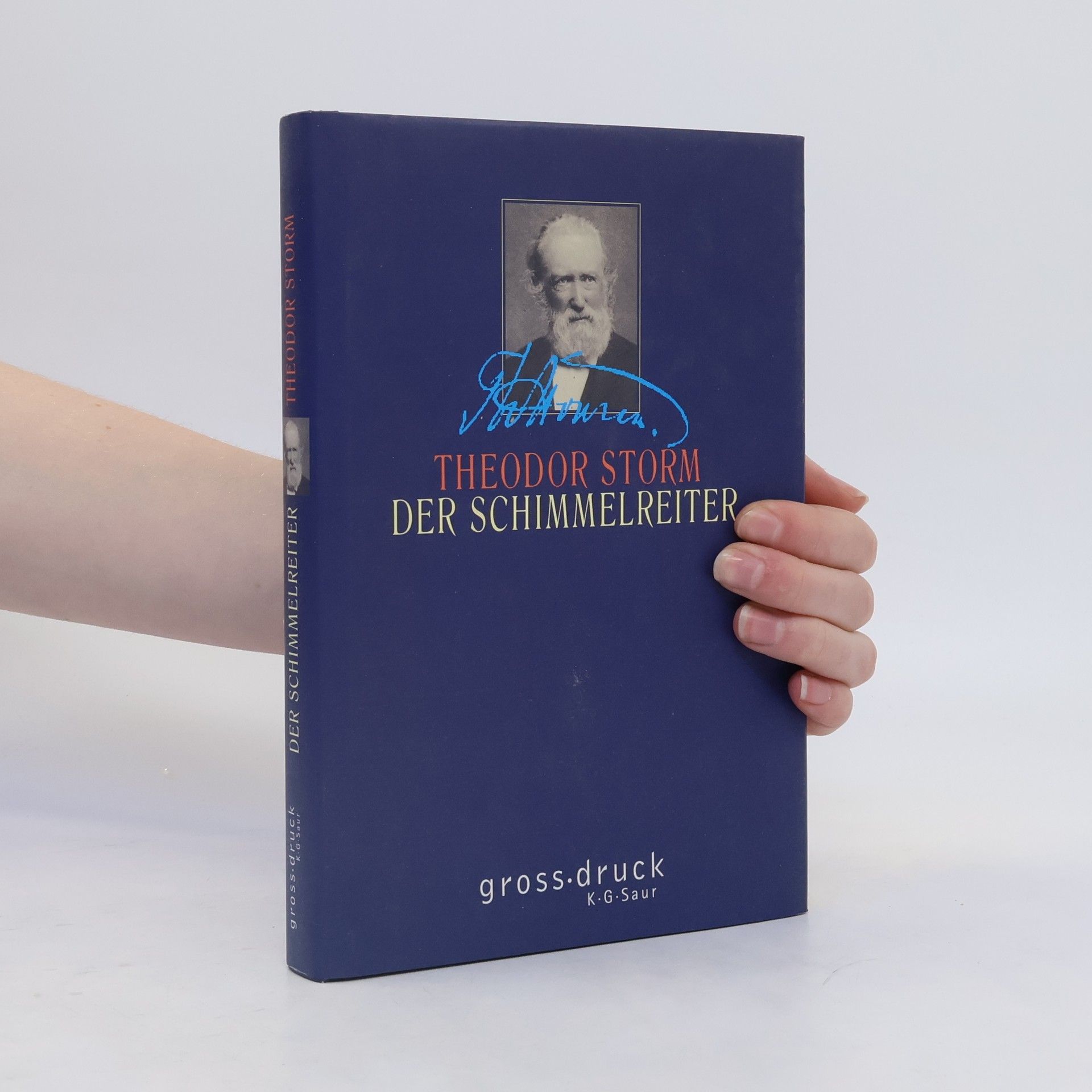 Theodor Storm Der Schimmelreiter