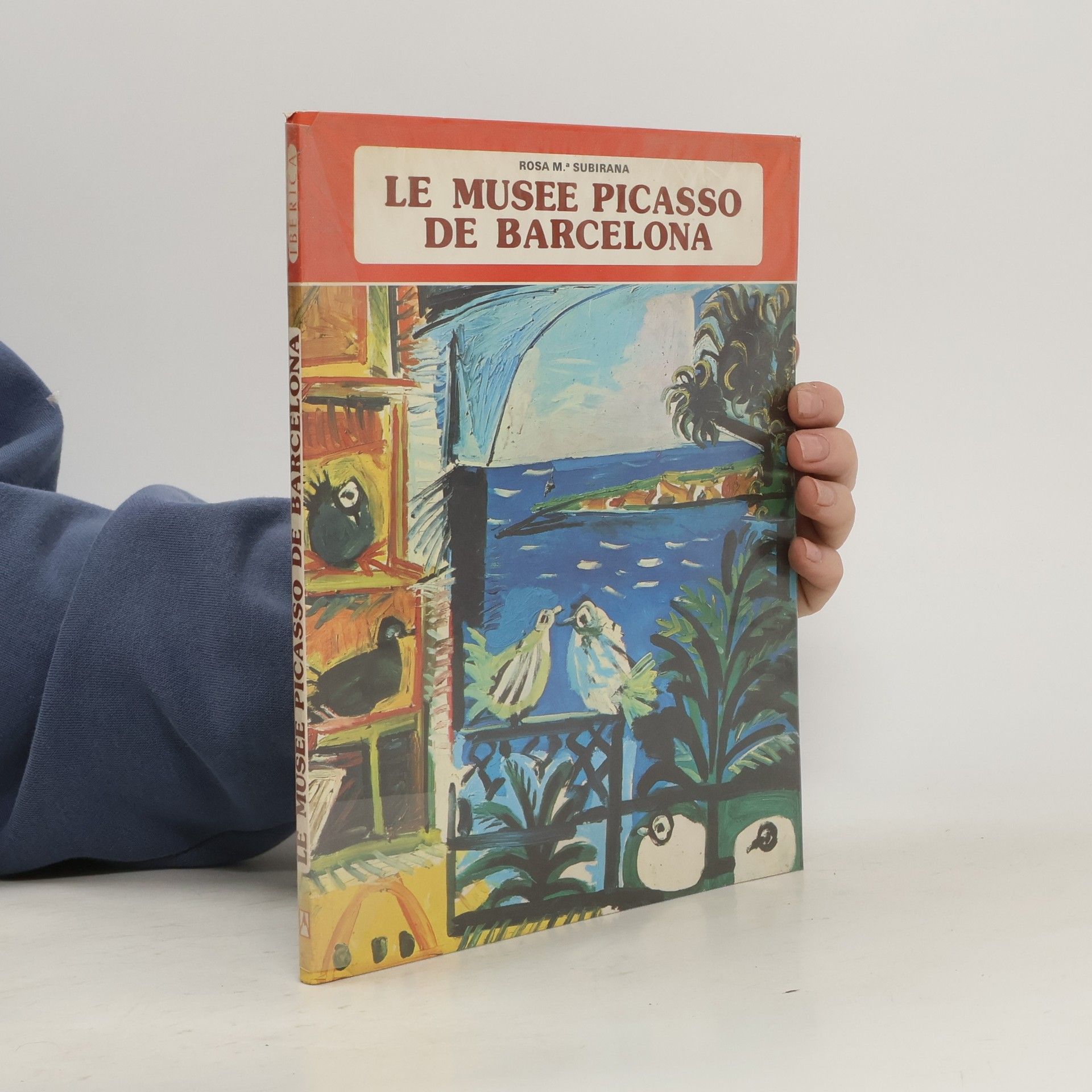 Rosa Maria Subirana Torrent Le Musee Picasso de Barcelona