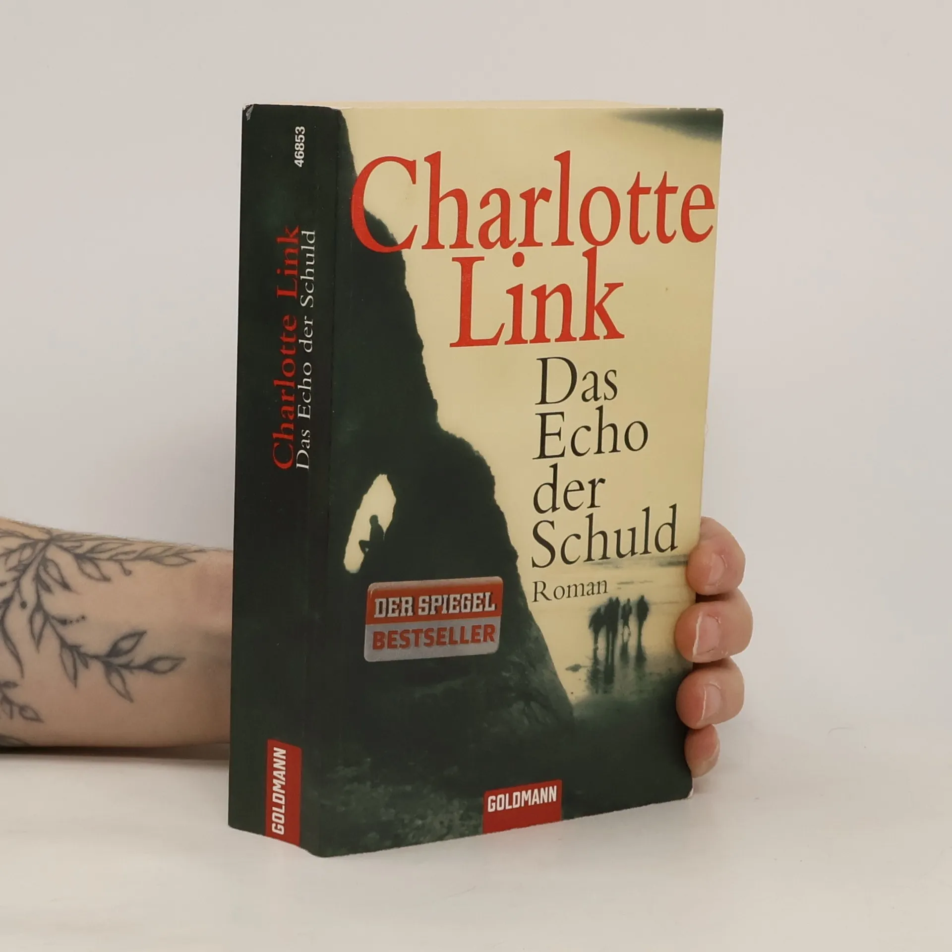 Das Echo der Schuld | Libro | Charlotte Link | DE