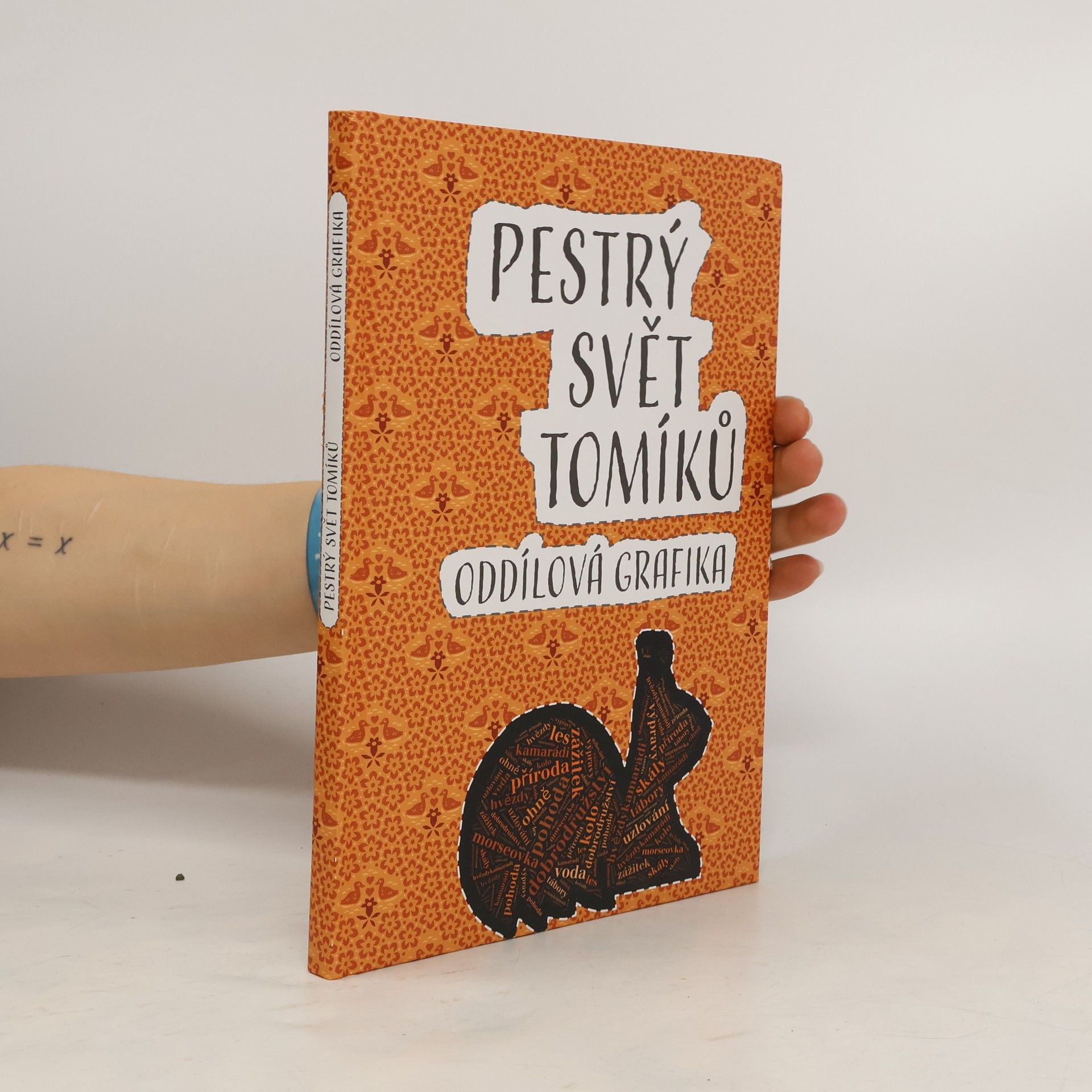 kolektiv Pestrý svět tomíků: Oddílová grafika