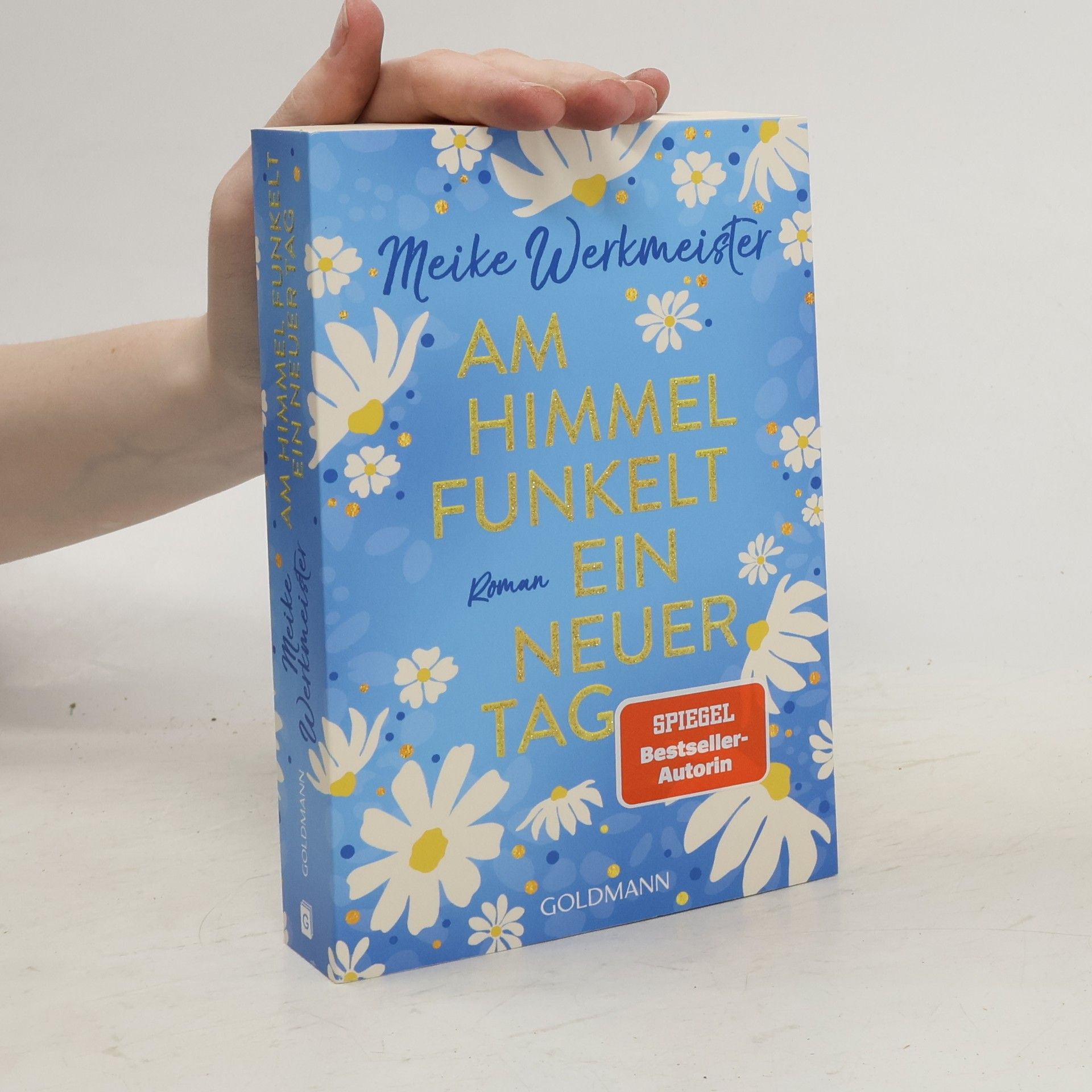 Meike Werkmeister Am Himmel funkelt ein neuer Tag