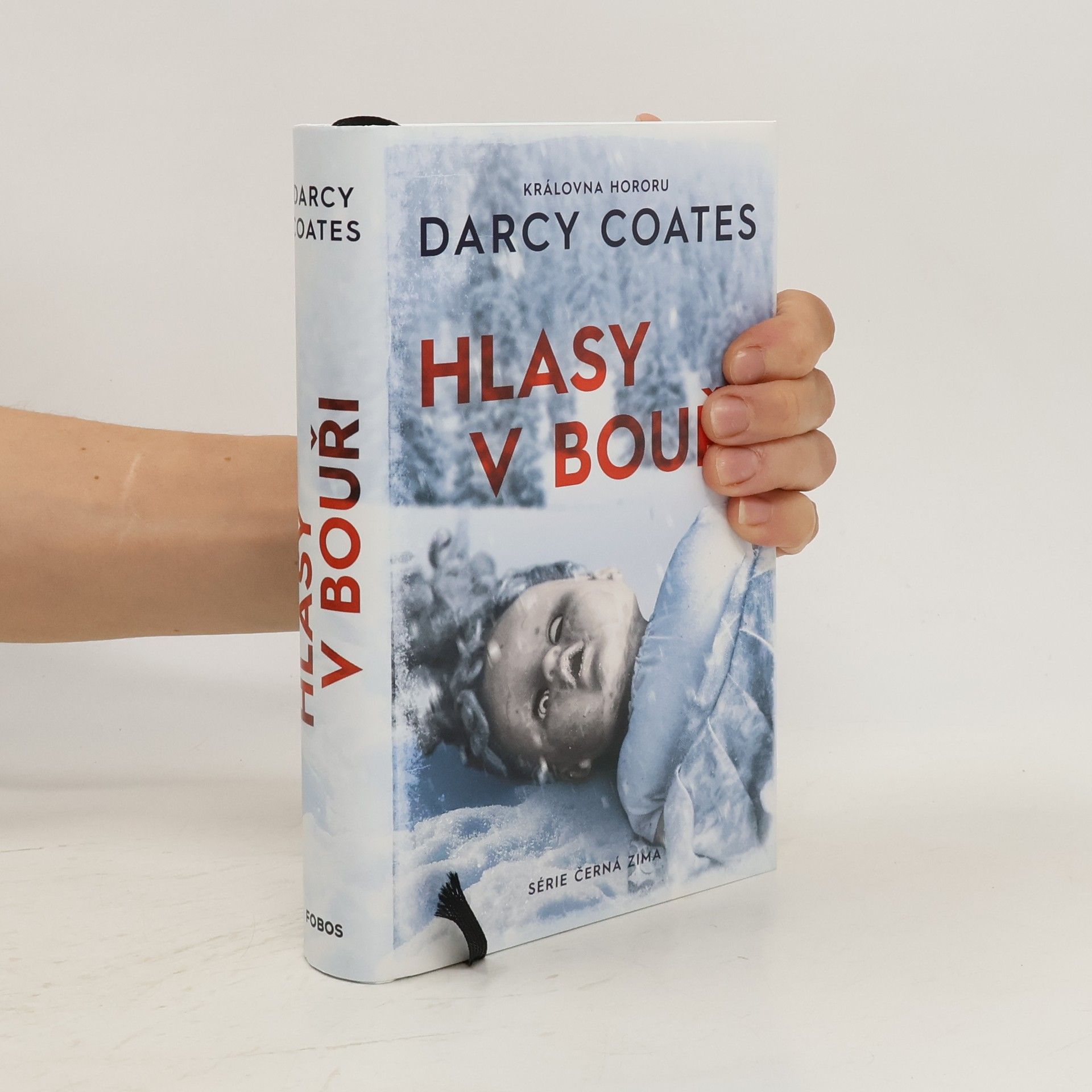 Darcy Coates Hlasy v bouři