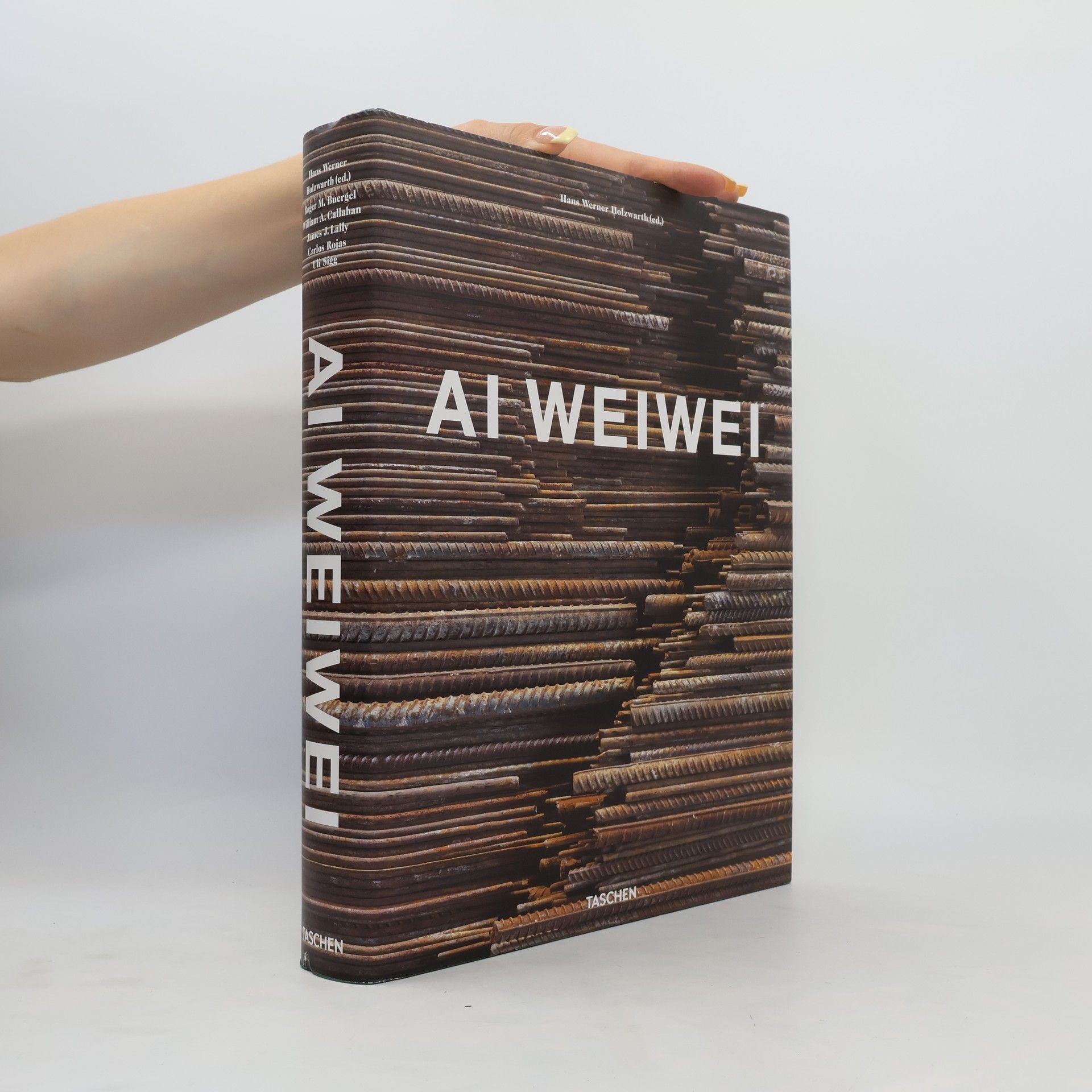 Hans Werner Holzwarth Ai Weiwei