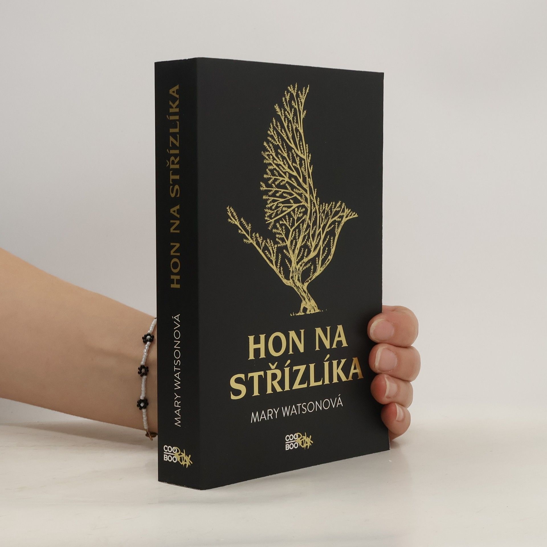 Mary Watson Hon na střízlíka