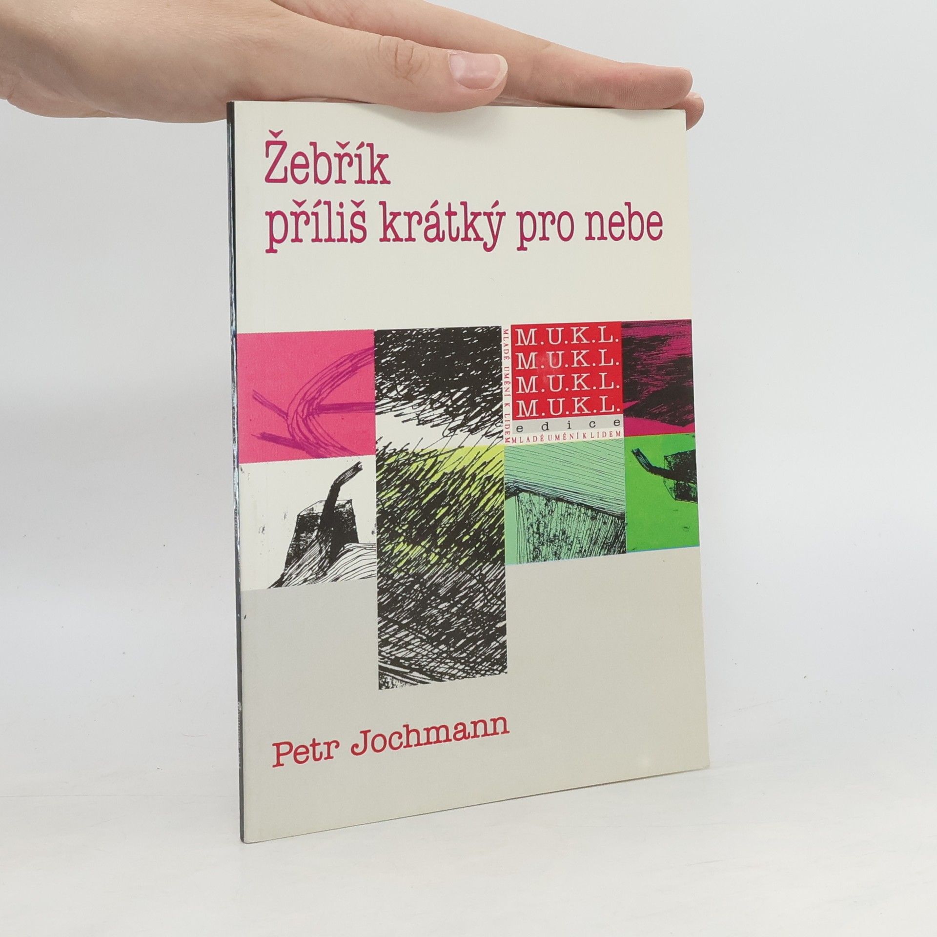 Petr Jochmann Žebřík příliš krátký pro nebe