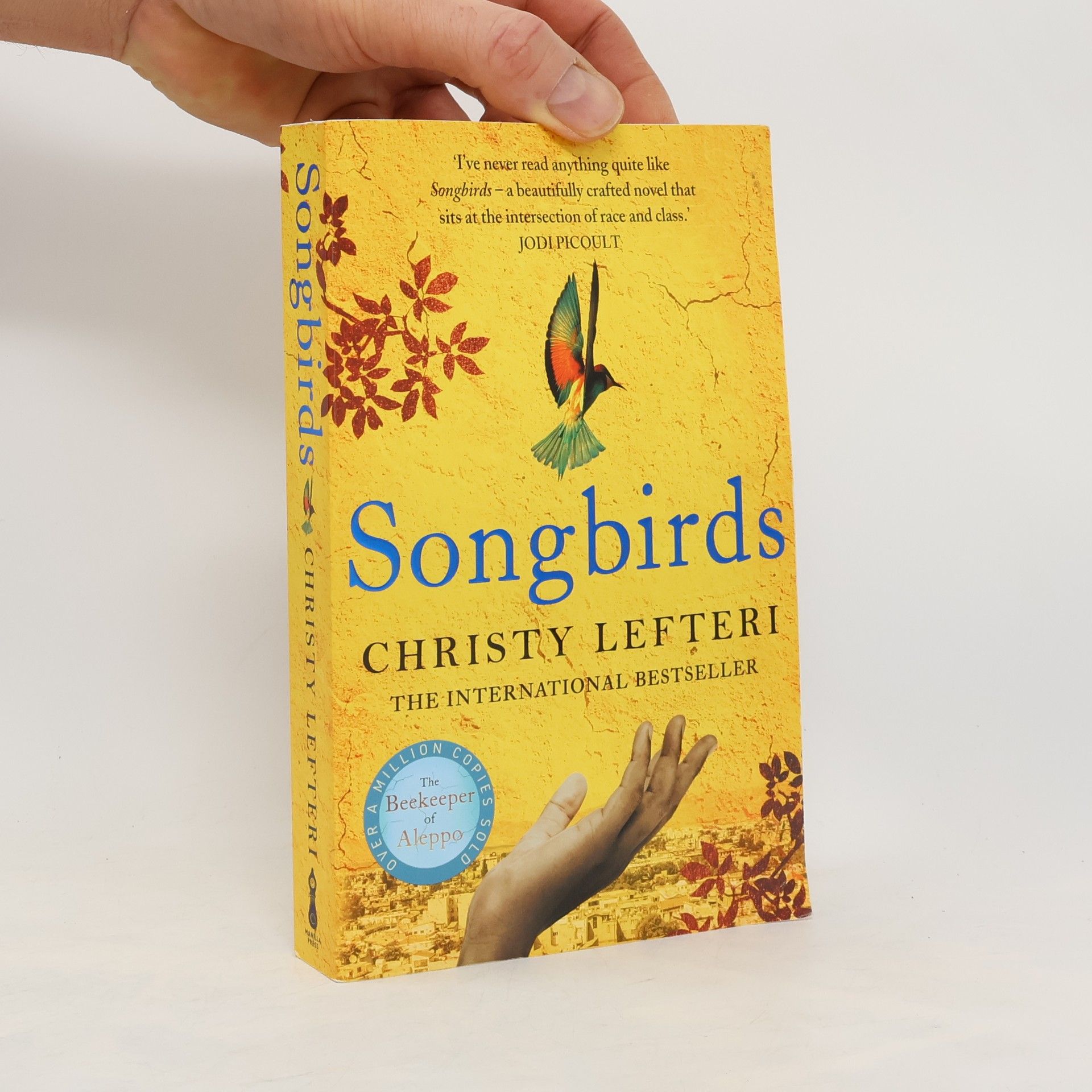Christy Lefteri Songbirds