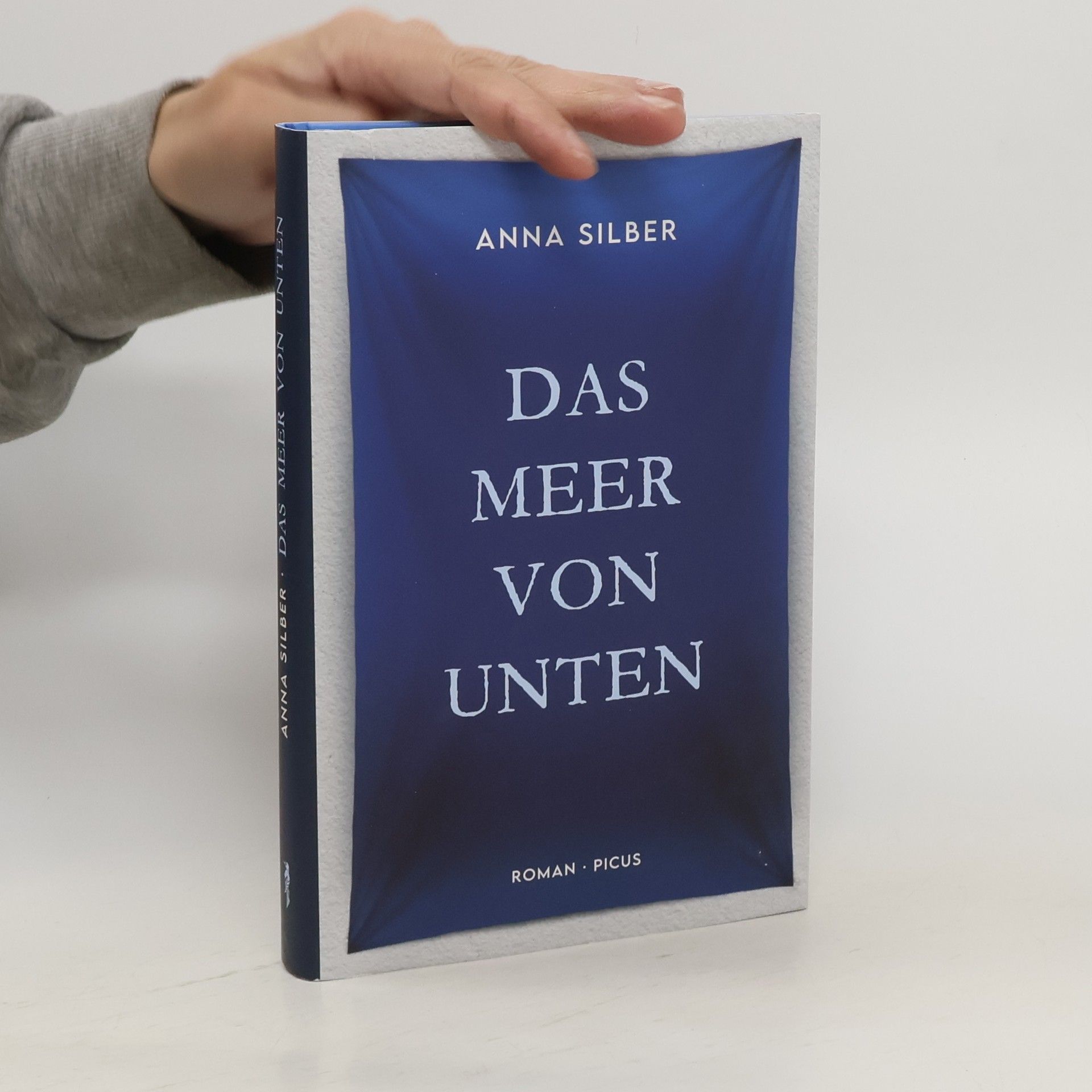 Anna Silber Das Meer von unten