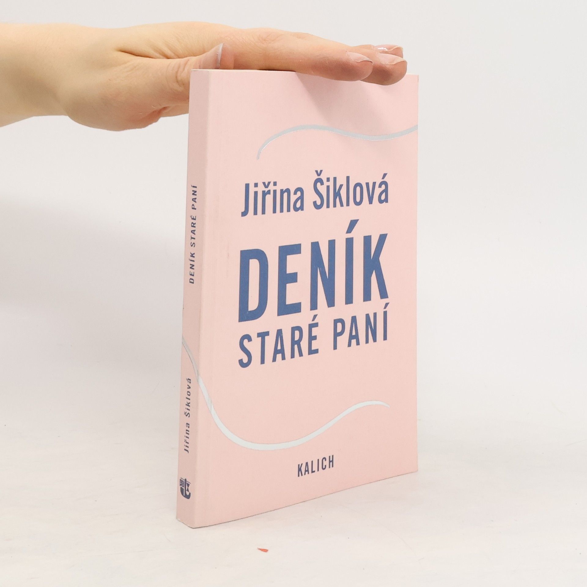 Jiřina Šiklová Deník staré paní