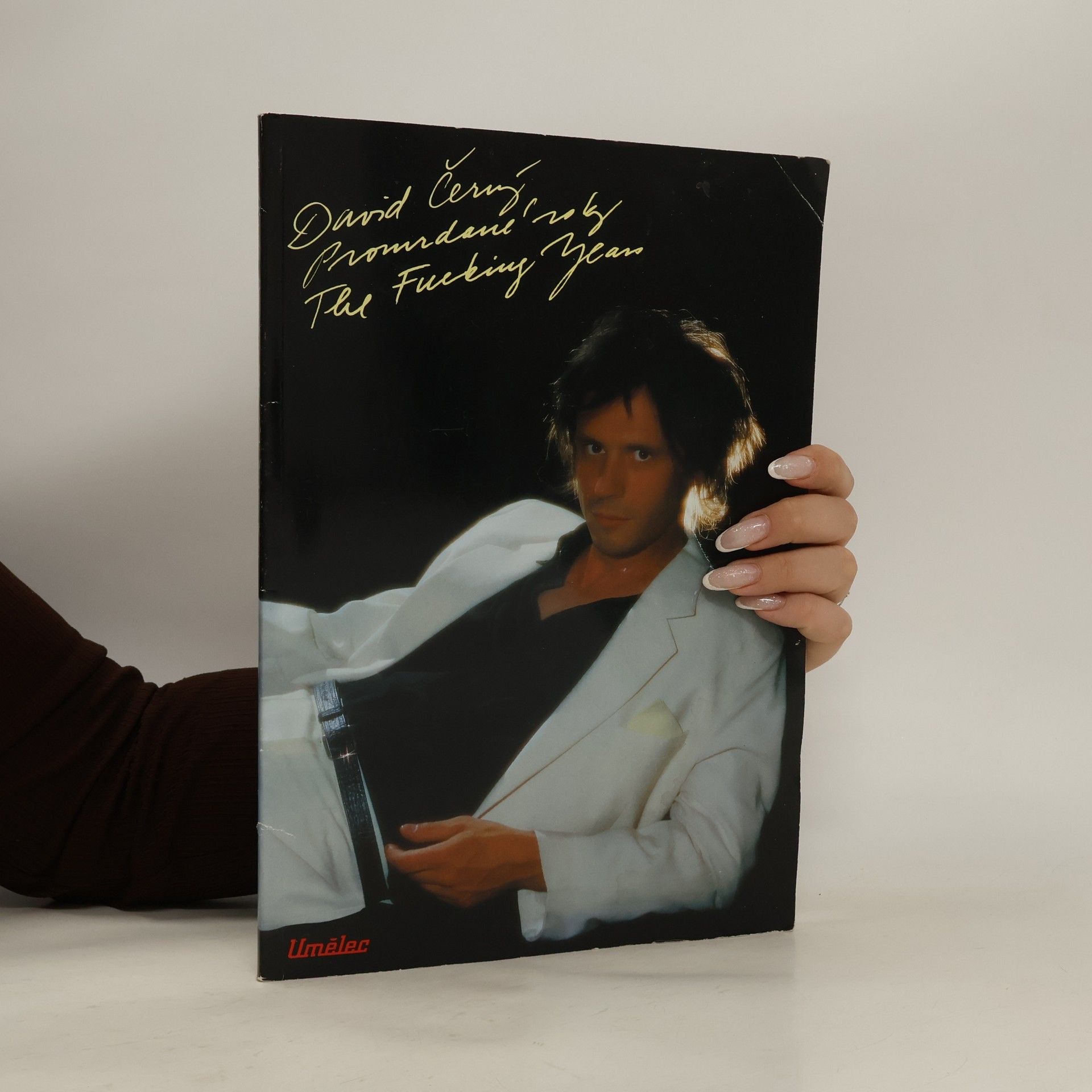 Tomáš Pospiszyl David Černý: Promrdané roky. Pravdivý příběh (Život a dílo umělce) = The Fucking Years. A True Story (The Life and Work of an Artist)