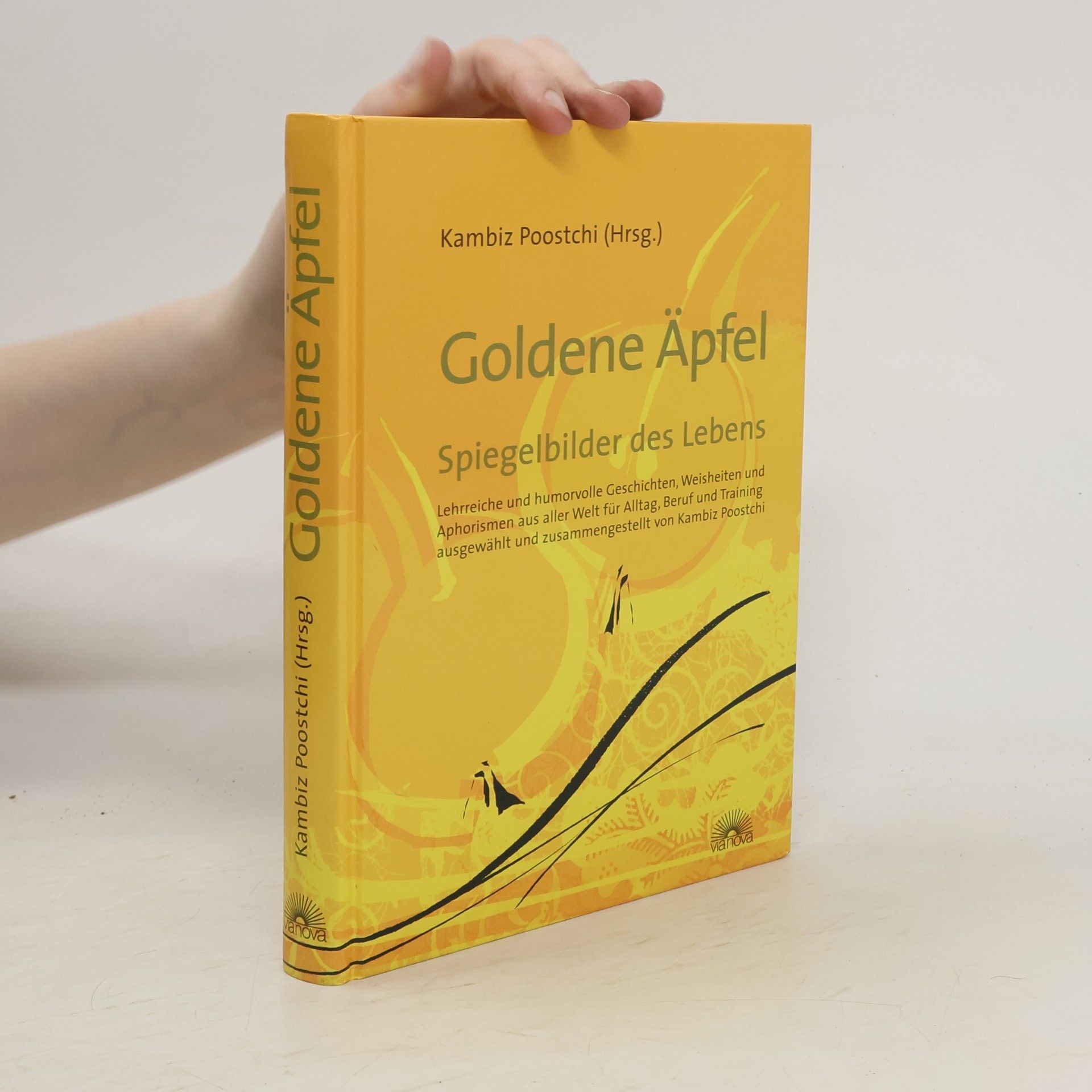 Kambiz Poostchi Goldene Äpfel, Spiegelbilder des Lebens