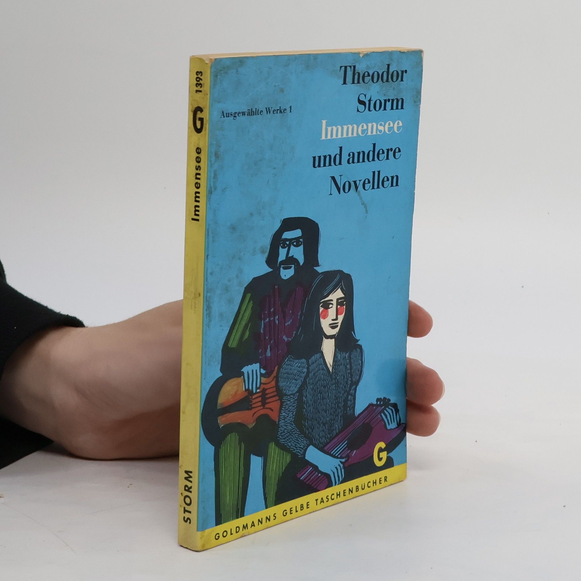 Theodor Storm Immensee und andere Novellen