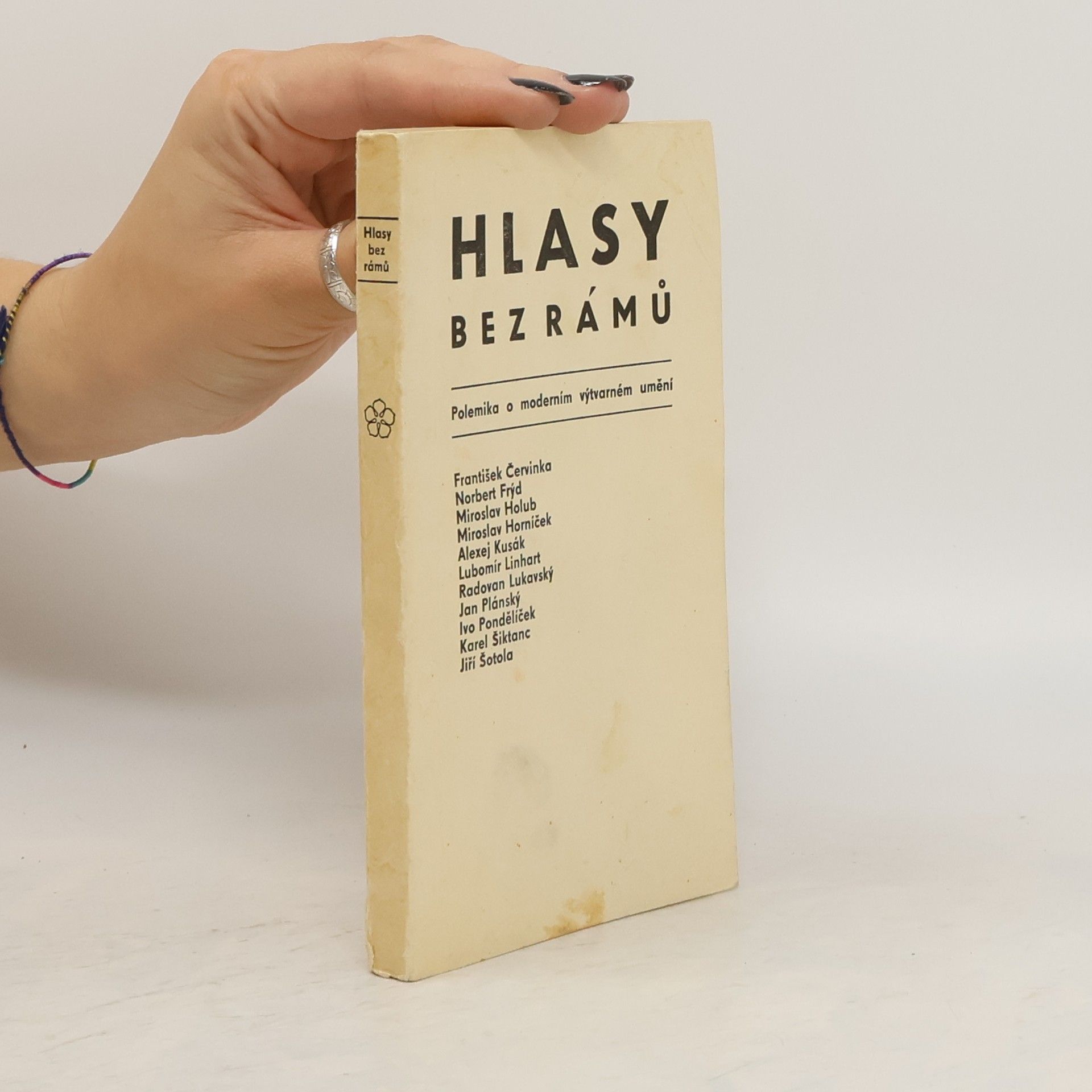Autorenkollektiv Hlasy bez rámů