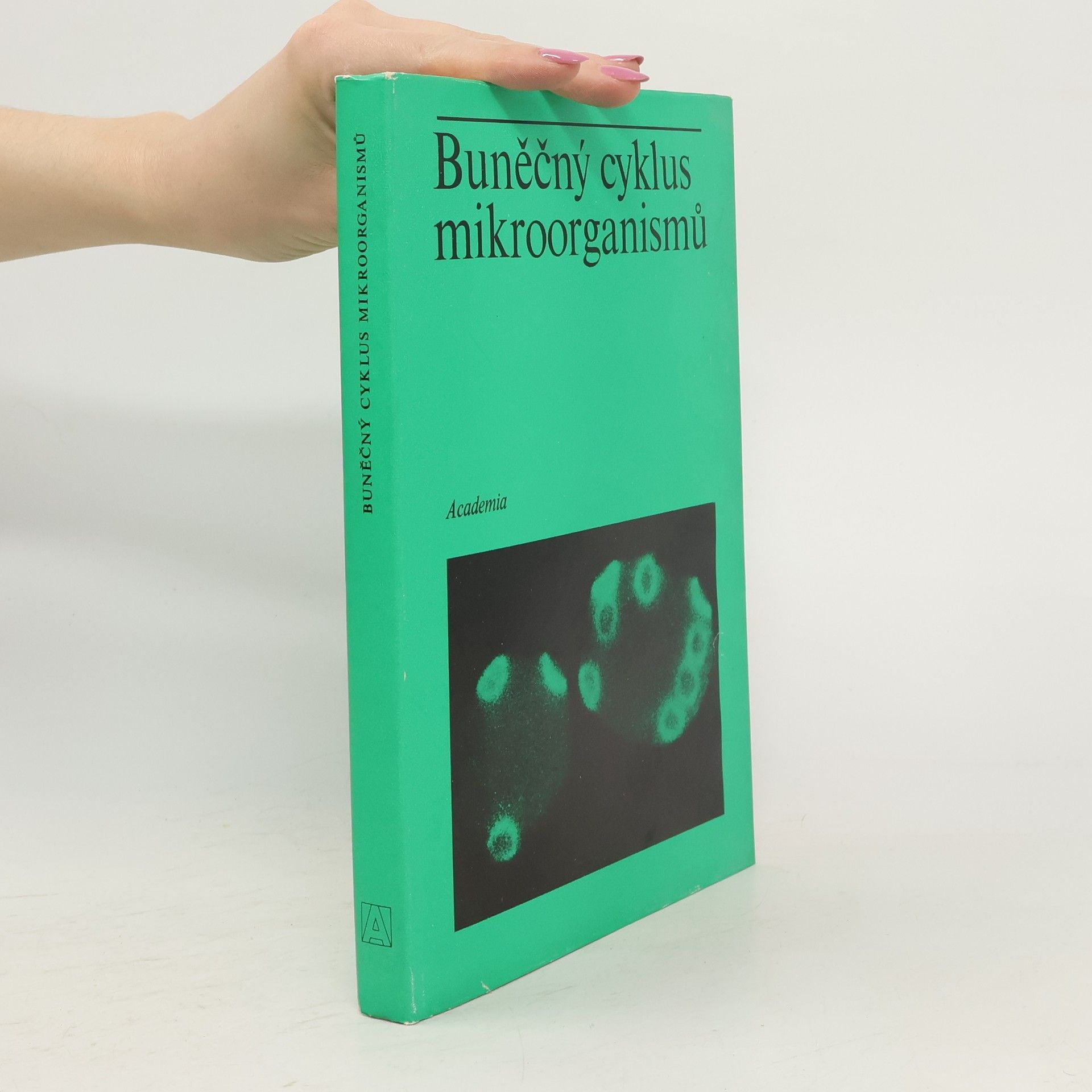 kolektiv Buněčný cyklus mikroorganismů