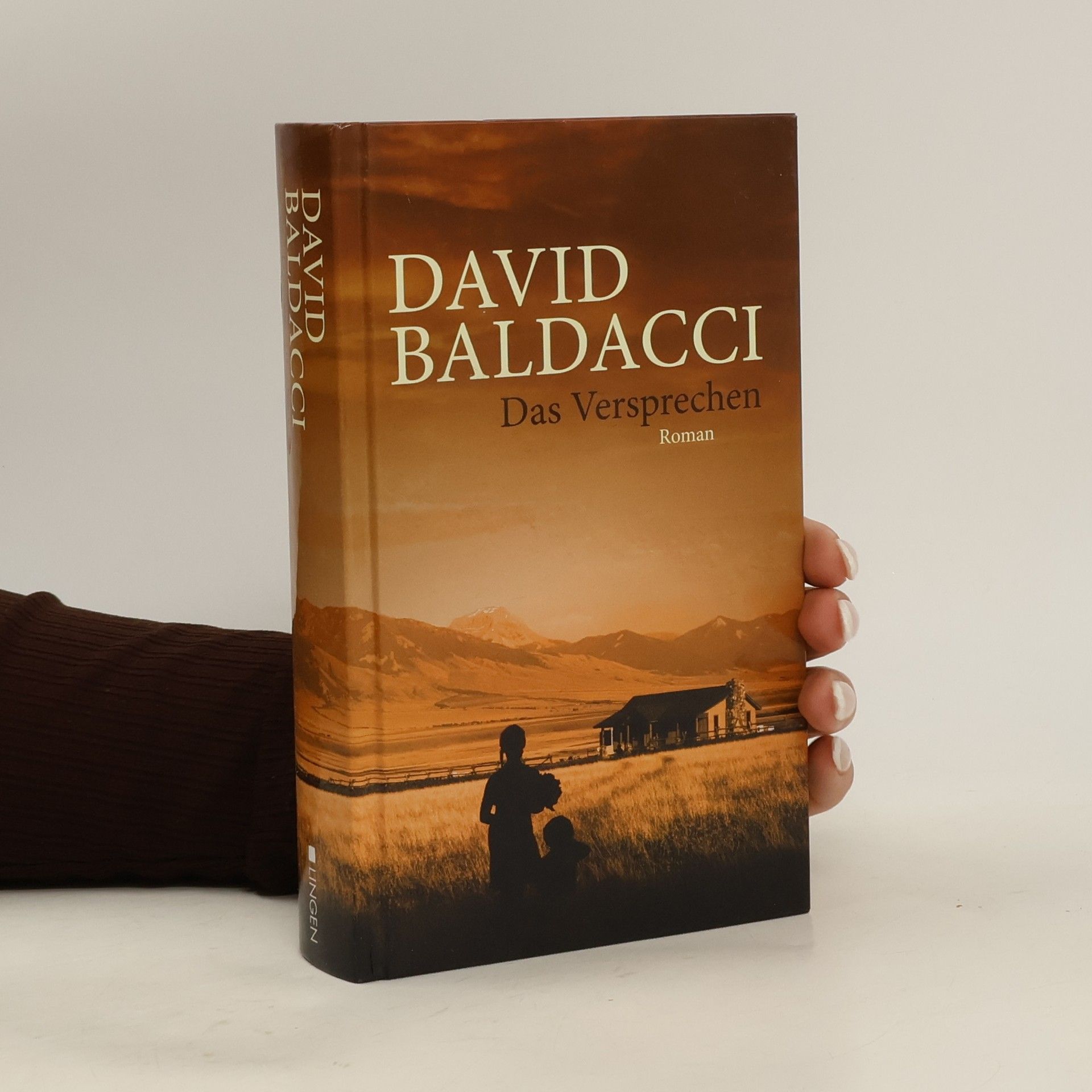 David Baldacci Das Versprechen