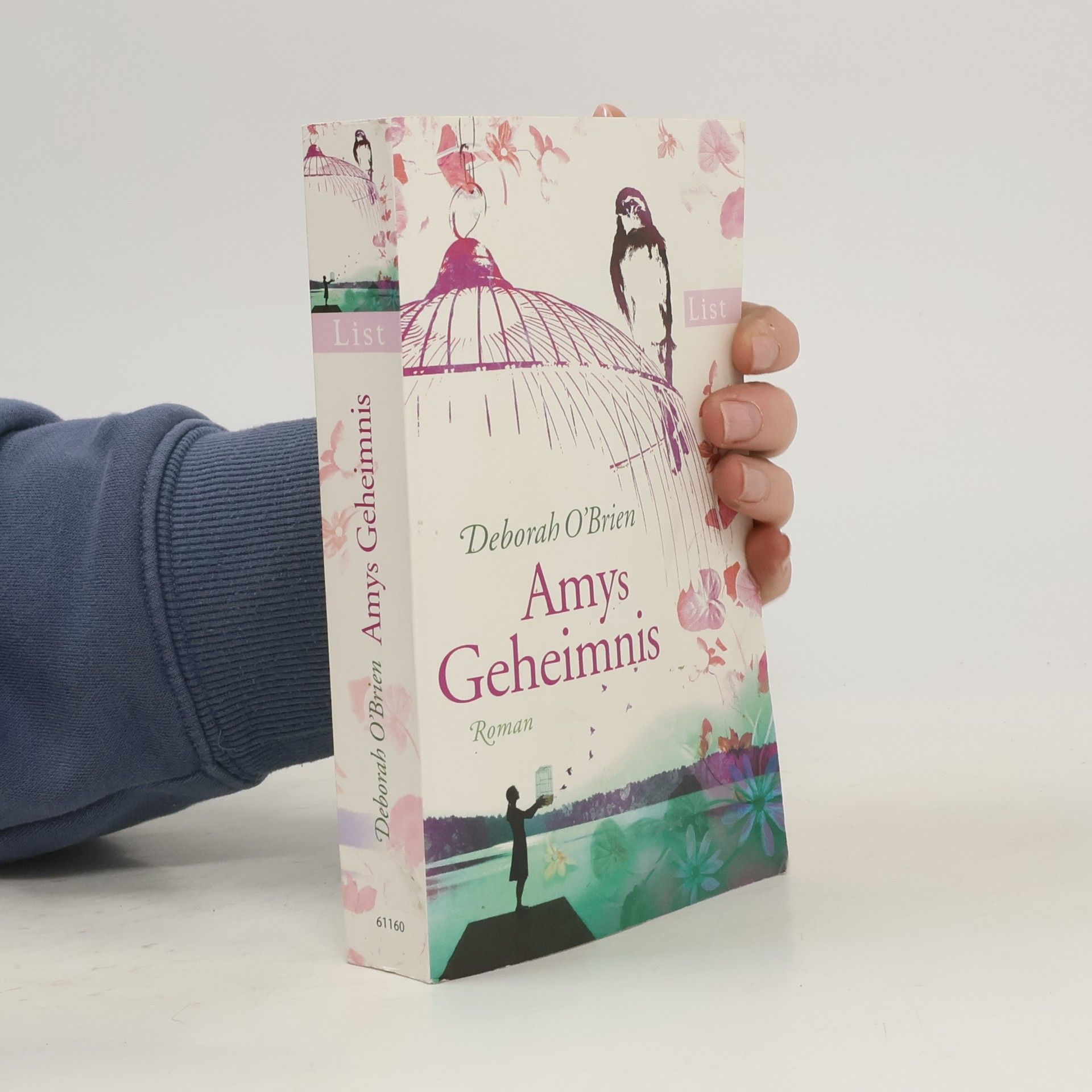 Deborah O. Brien Amys Geheimnis
