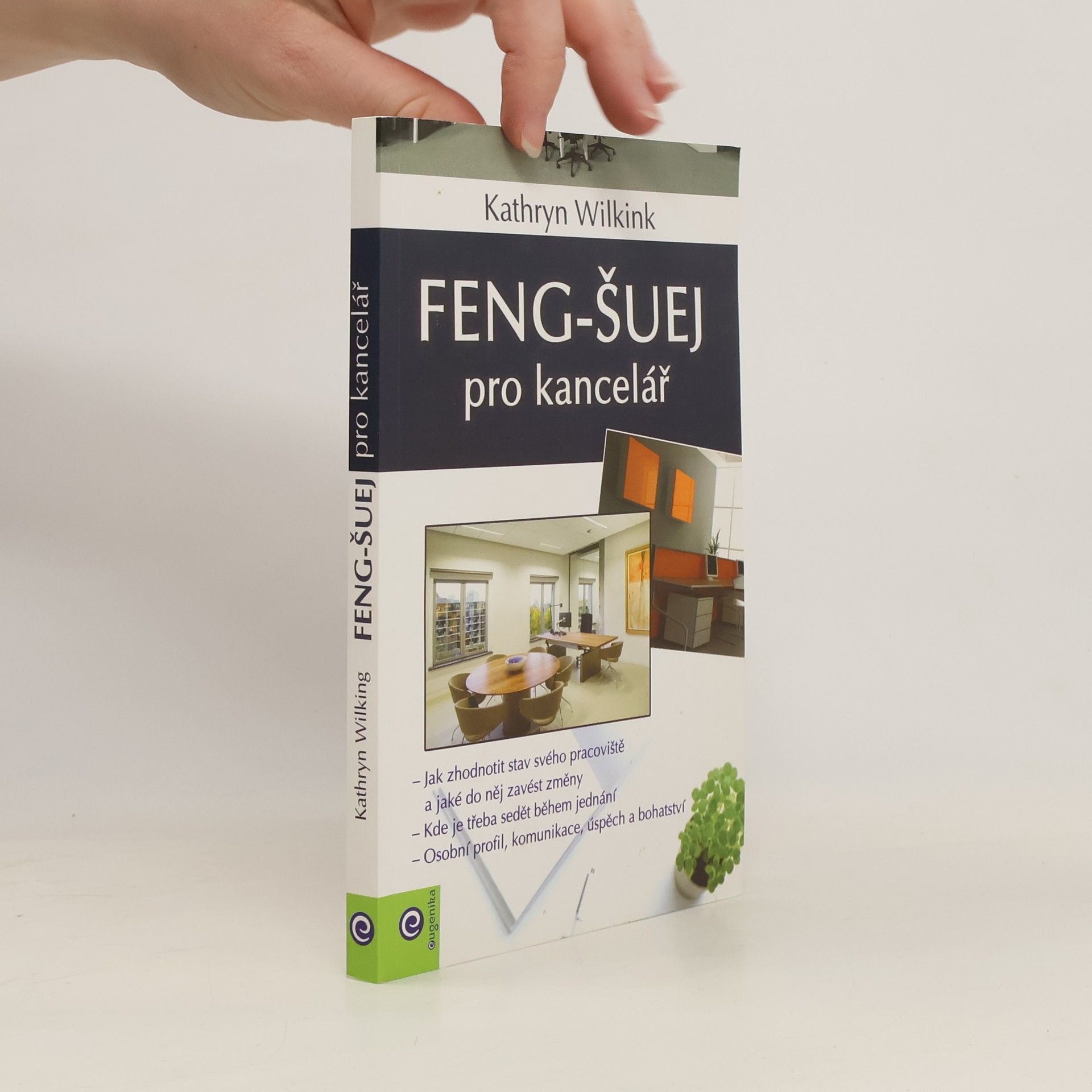 Kathryn Wilking Feng-šuej pro kancelář