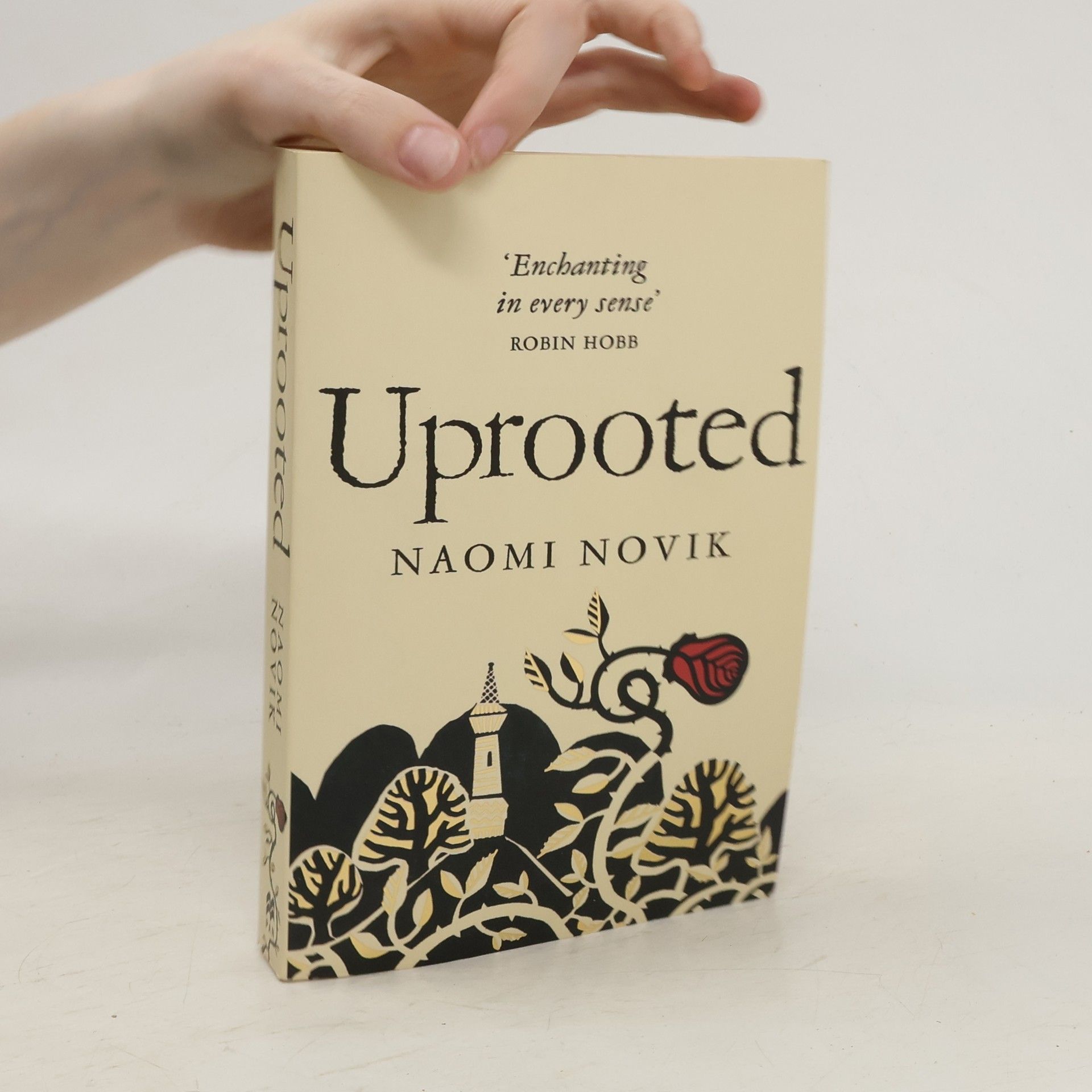 Naomi Novik Uprooted