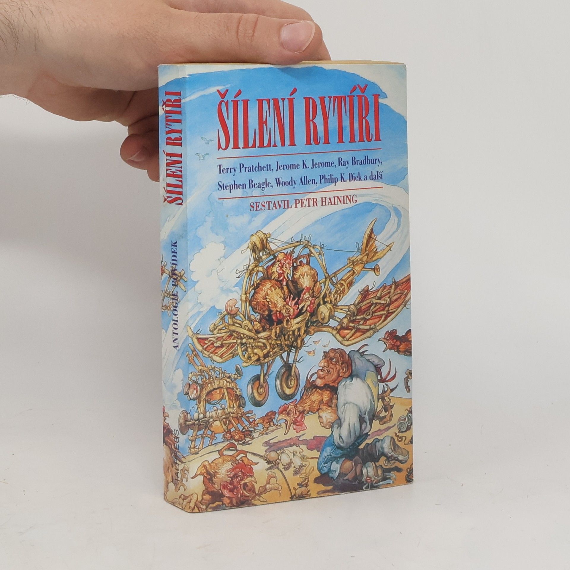 Terry Pratchett Šílení rytíři