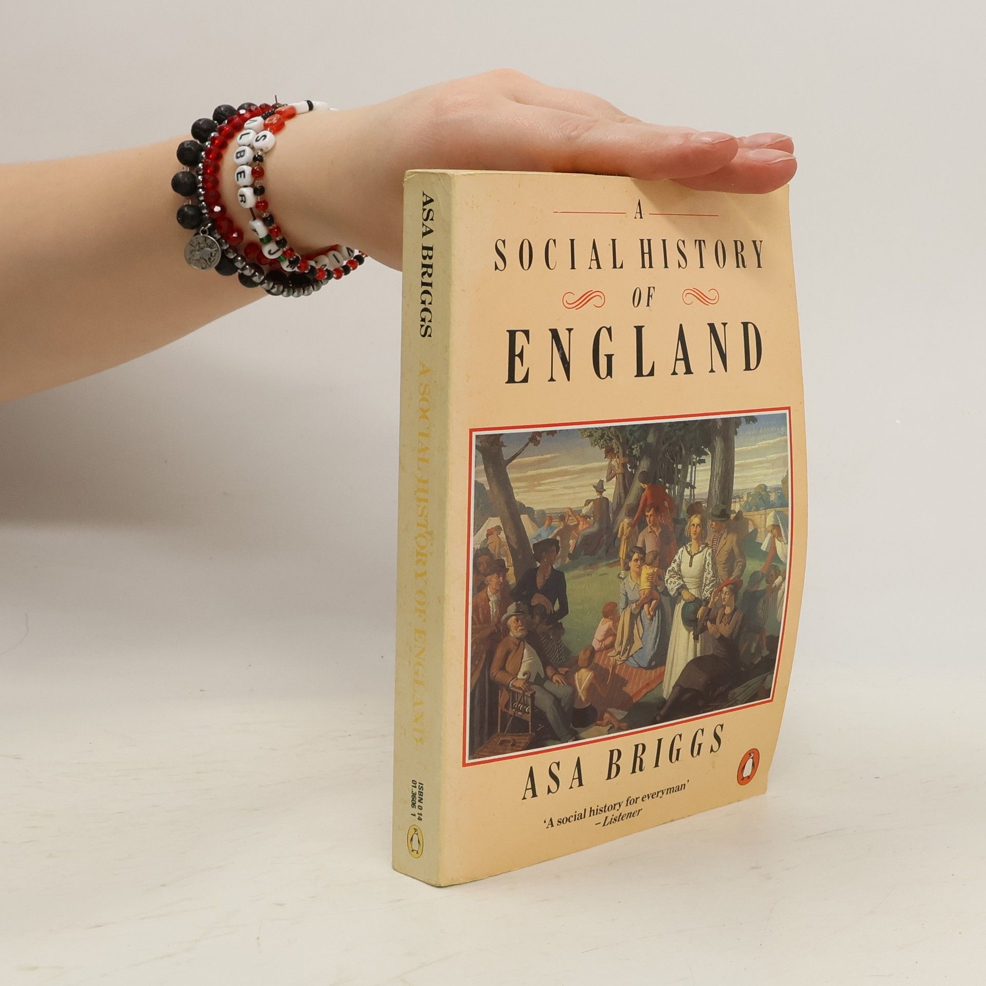 Asa Briggs A Social History of England