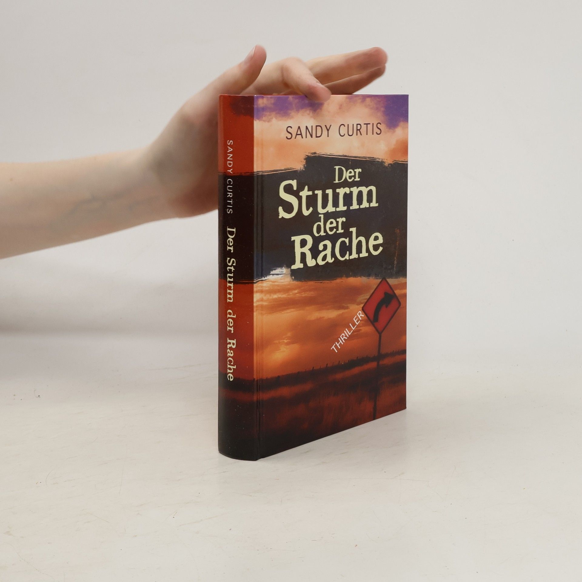 Sandy Curtis Der Sturm der Rache