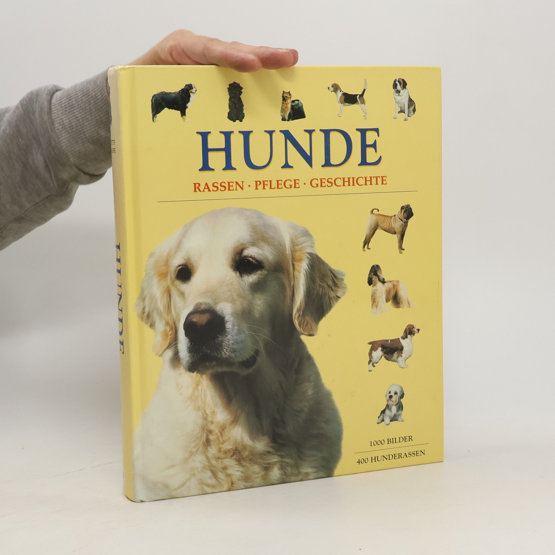 Autorenkollektiv Hunde