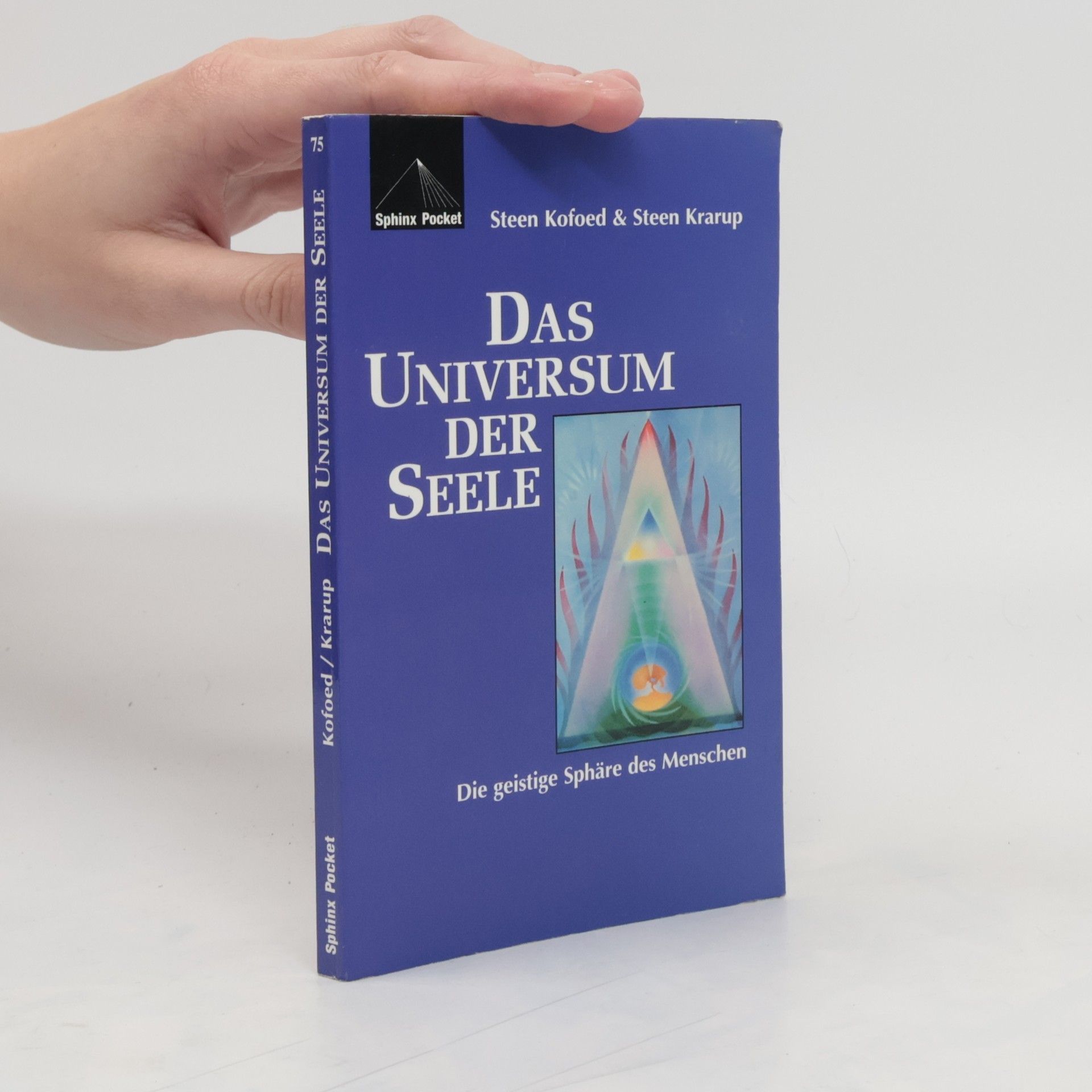 Steen Kofoed Das Universum der Seele