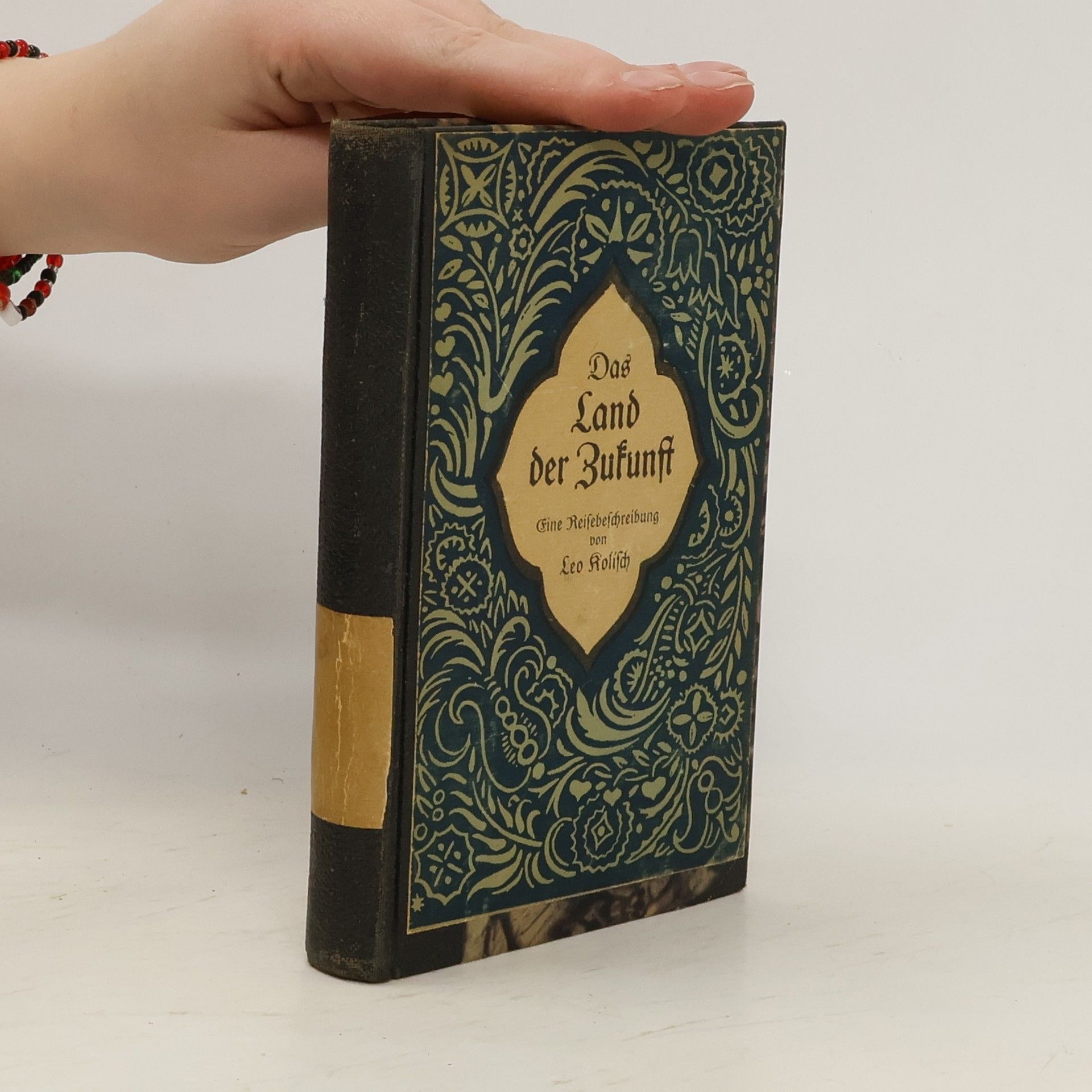 Leo Kolisch Das Land der Zukunft