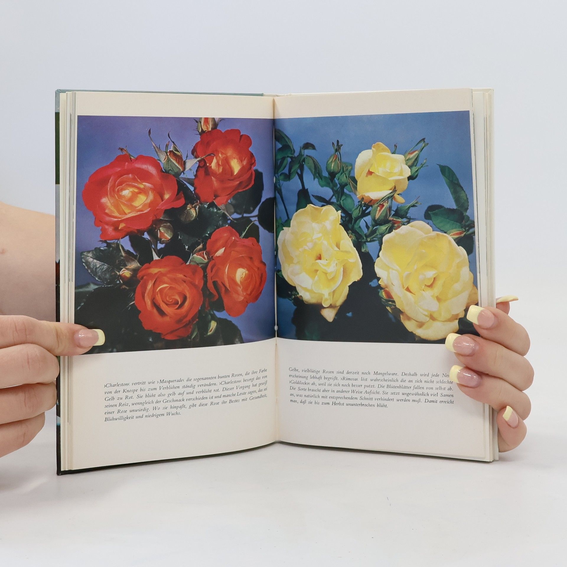 Ilse Jaehner Das bunte Rosenbuch