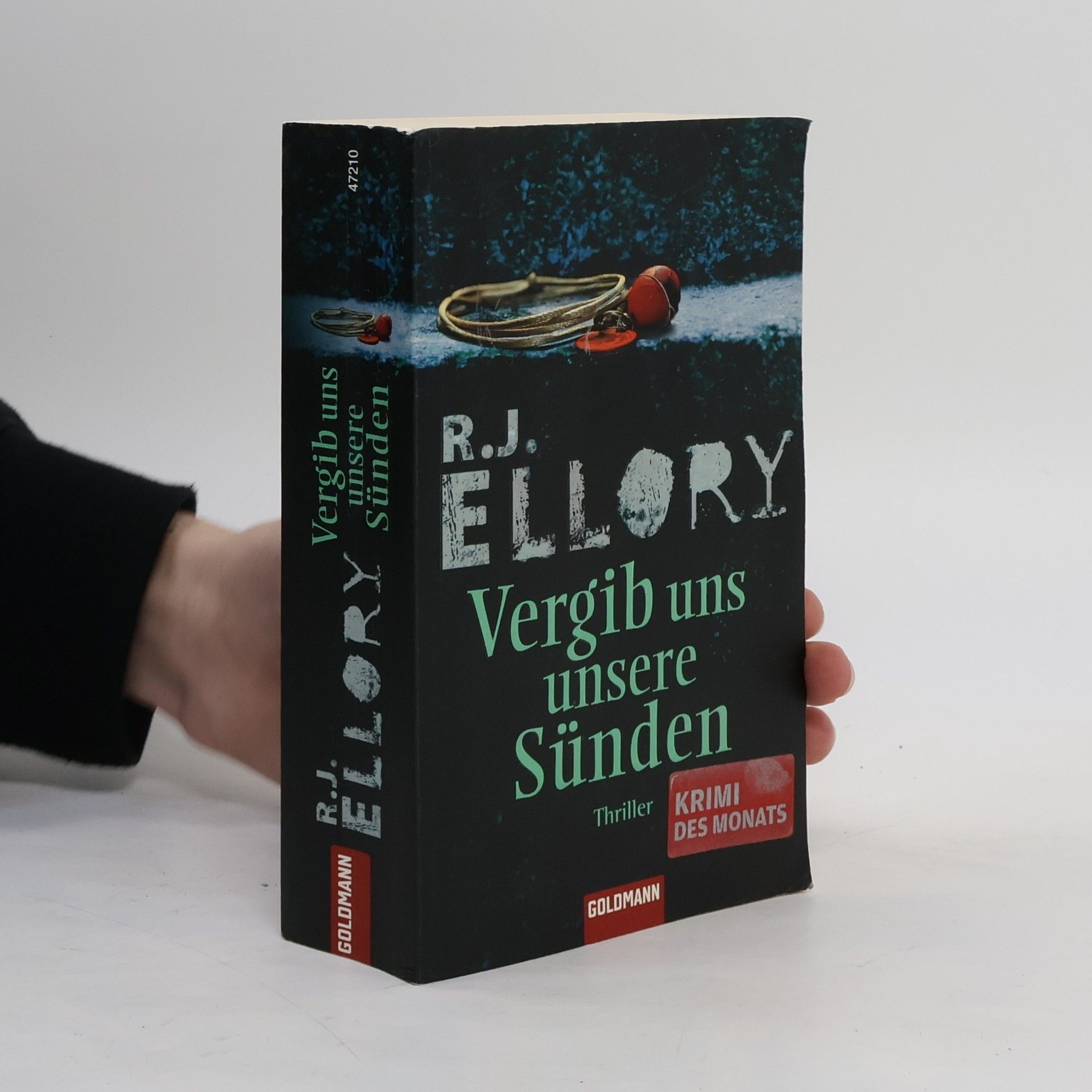 Roger Jon Ellory Vergib uns unsere Sünden
