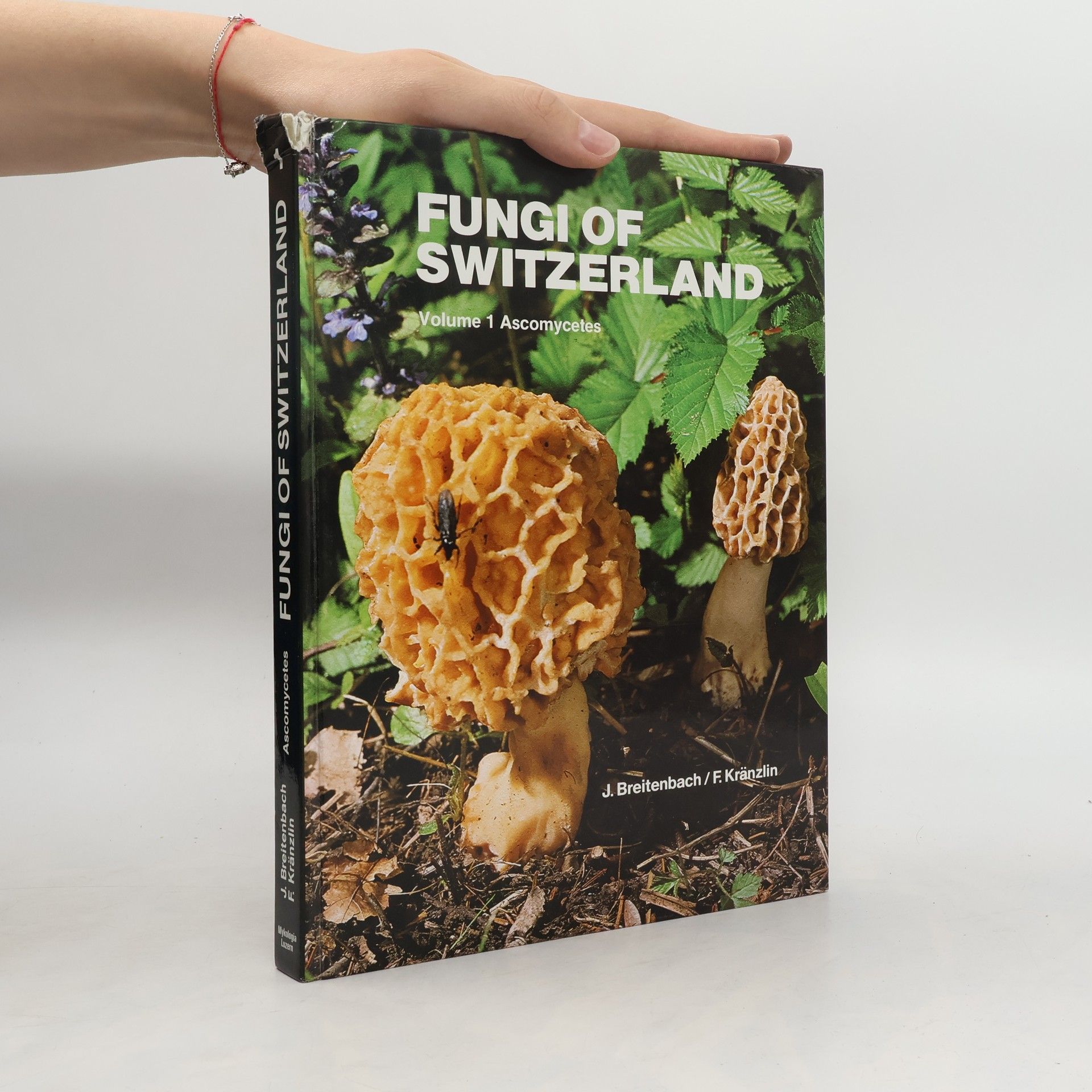 Autorenkollektiv Fungi of Switzerland