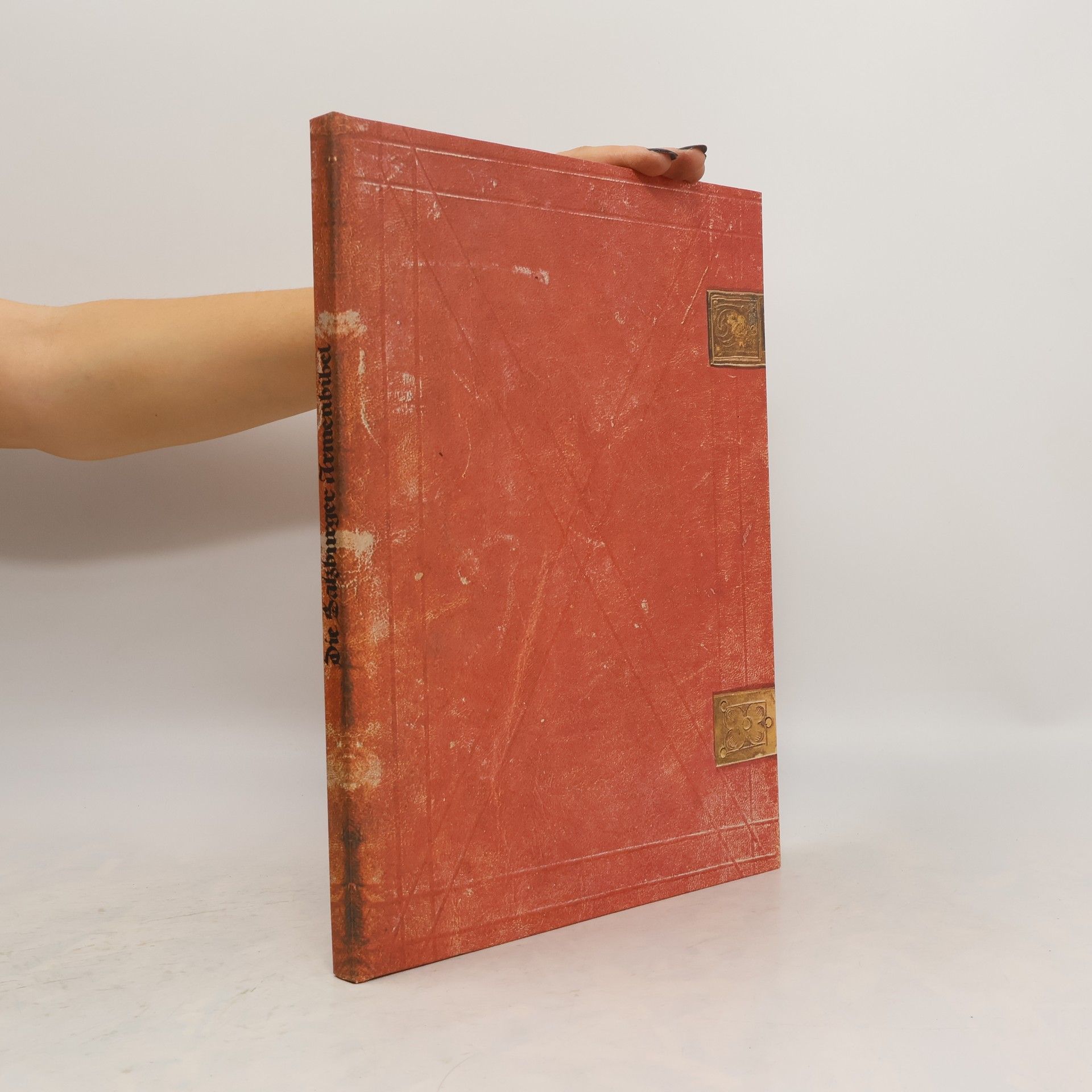 Karl Forstner Die Salzburger Armenbibel. Codex a IX 12 aus der Erzabtei St. Peter zu Salzburg