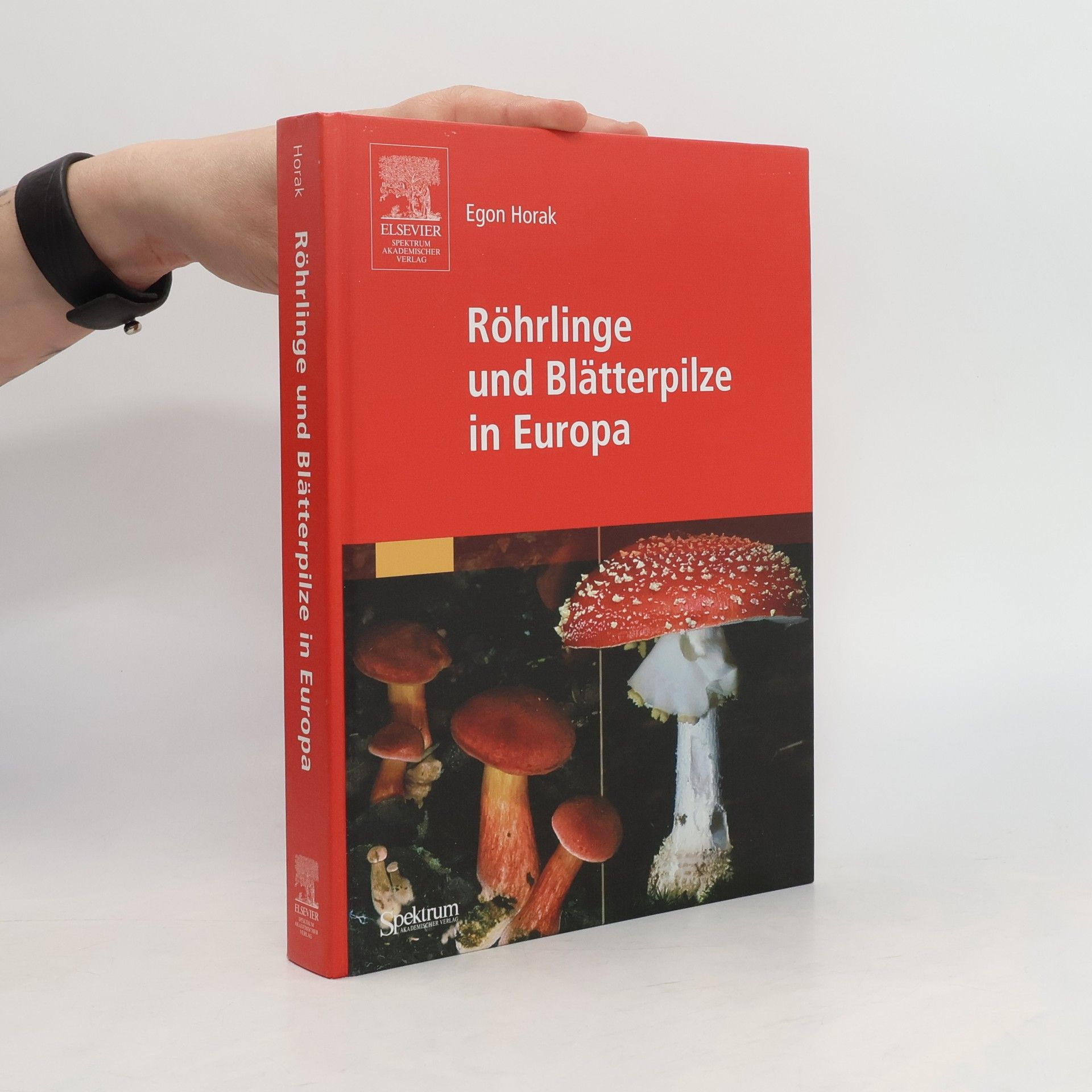 Egon Horak Röhrlinge und Blätterpilze in Europa