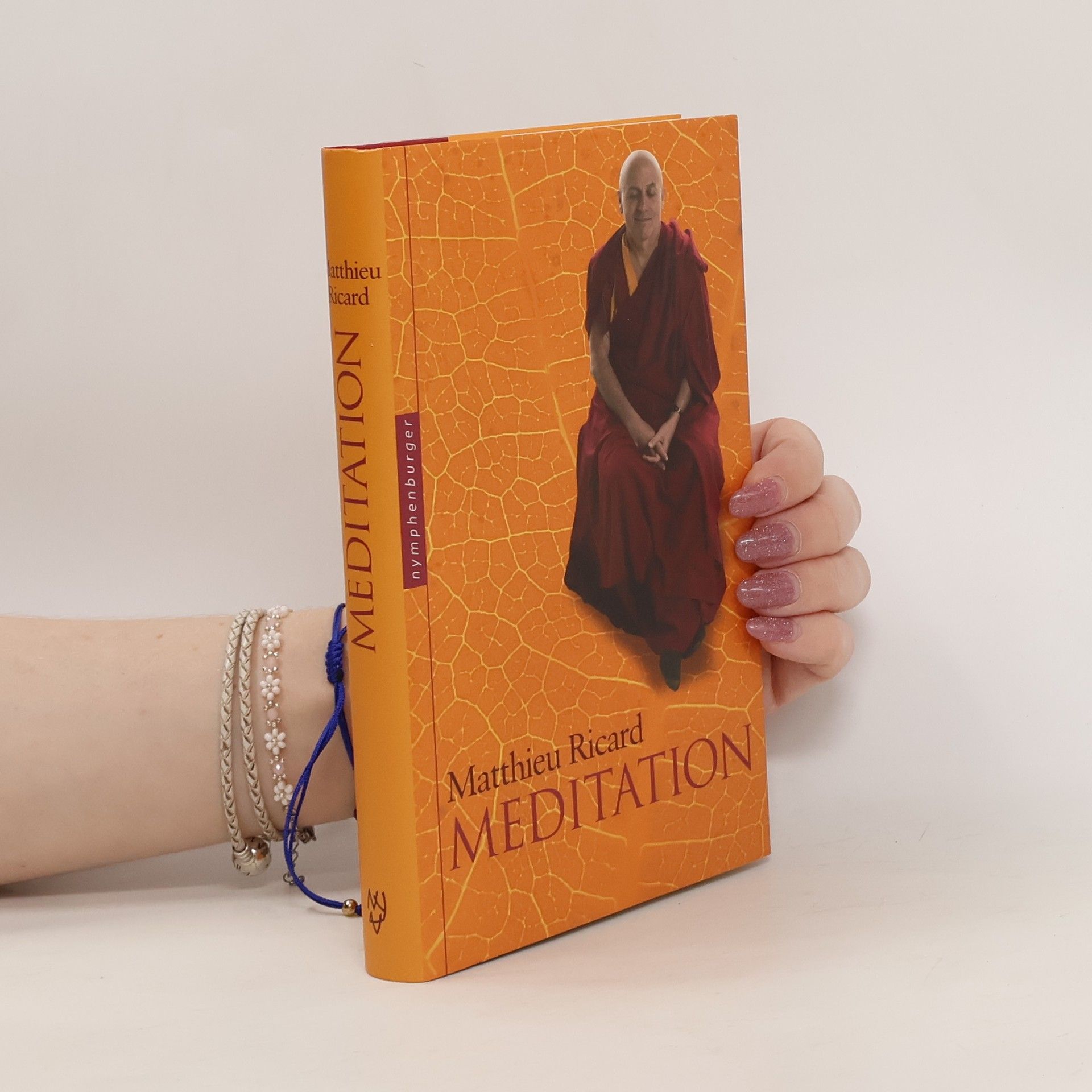 Matthieu Ricard Meditation