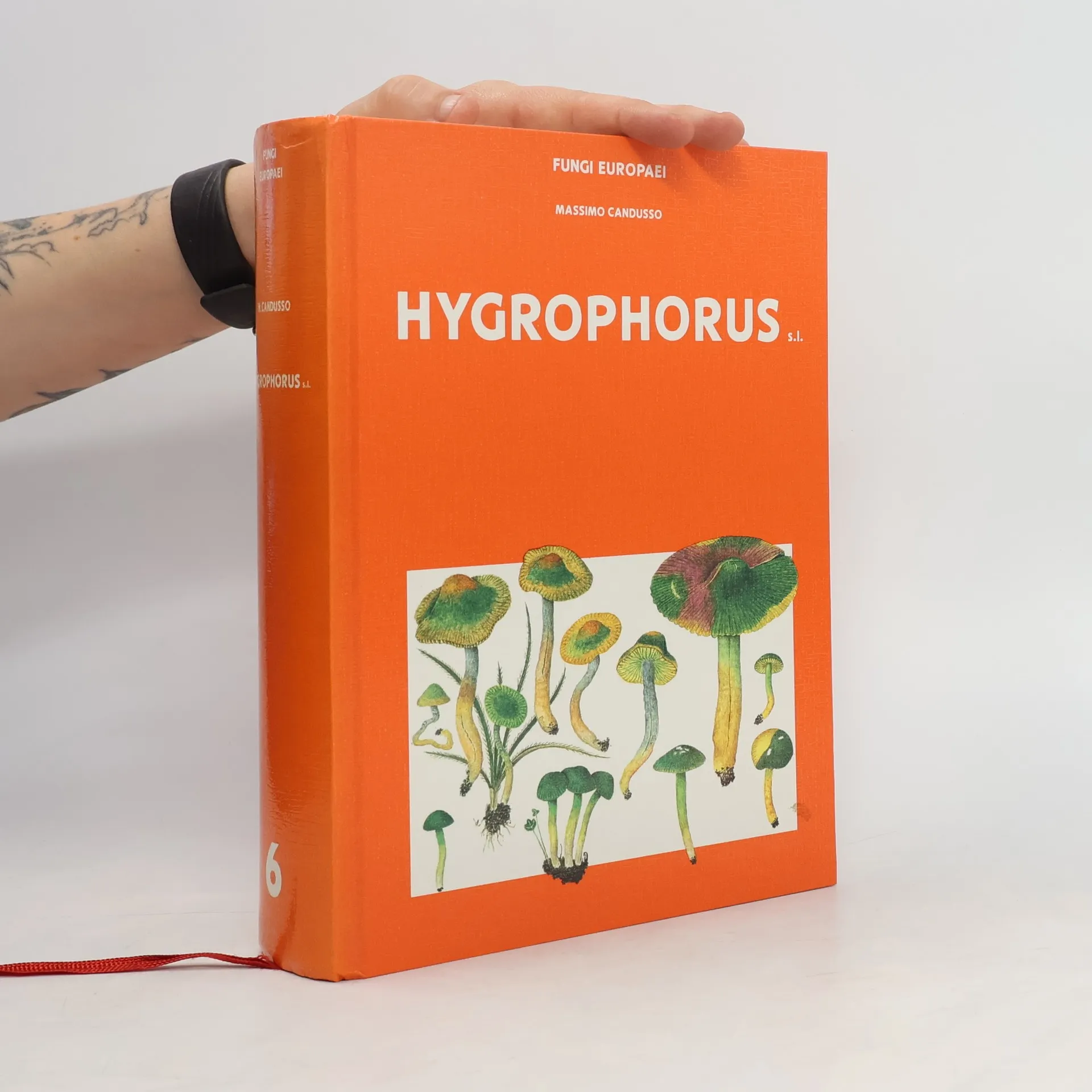 Hygrophorus | Kniha | pevná | Massimo Candusso | IT