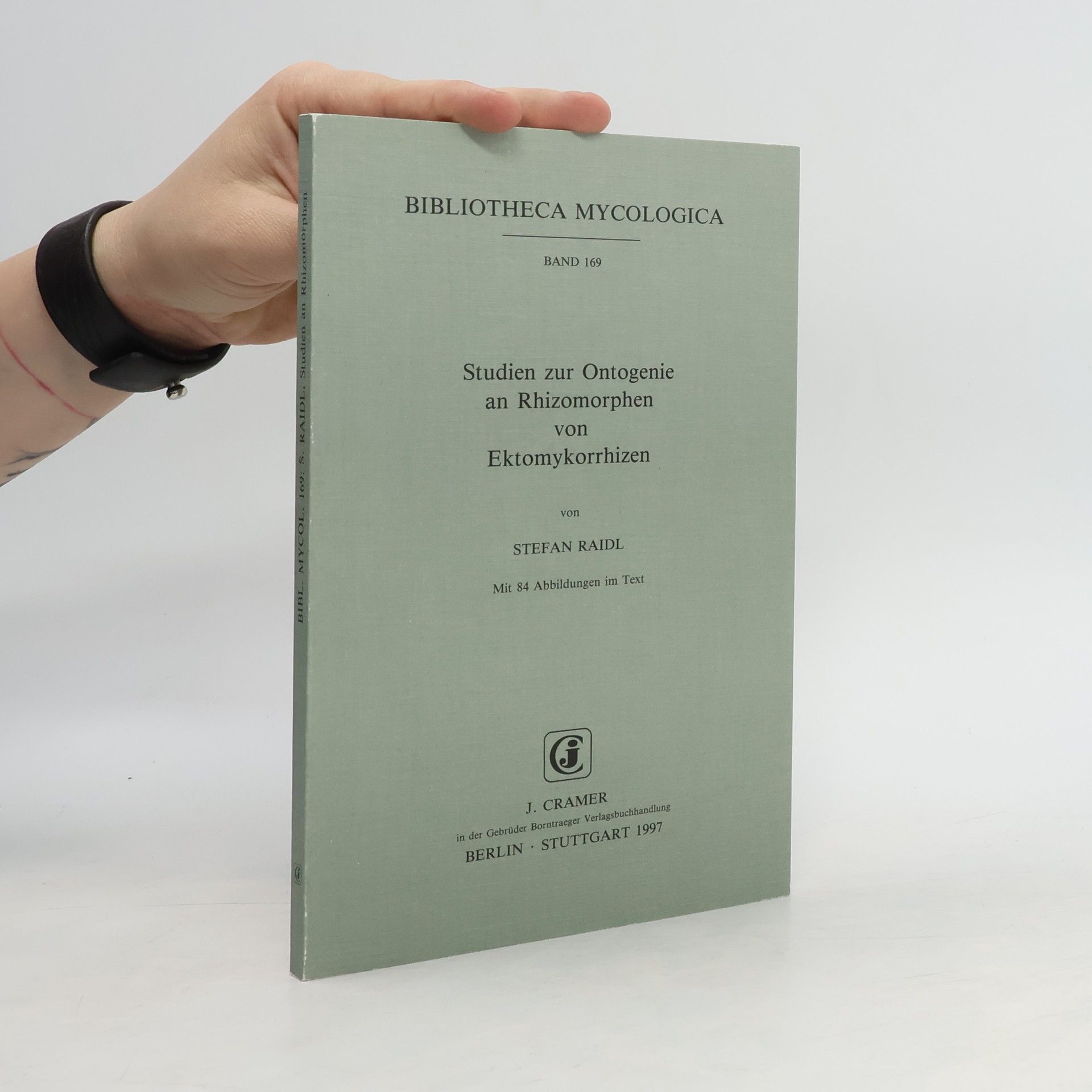 Stefan Raidl Studien zur Ontogenie an Rhizomorphen von Ektomykorrhizen
