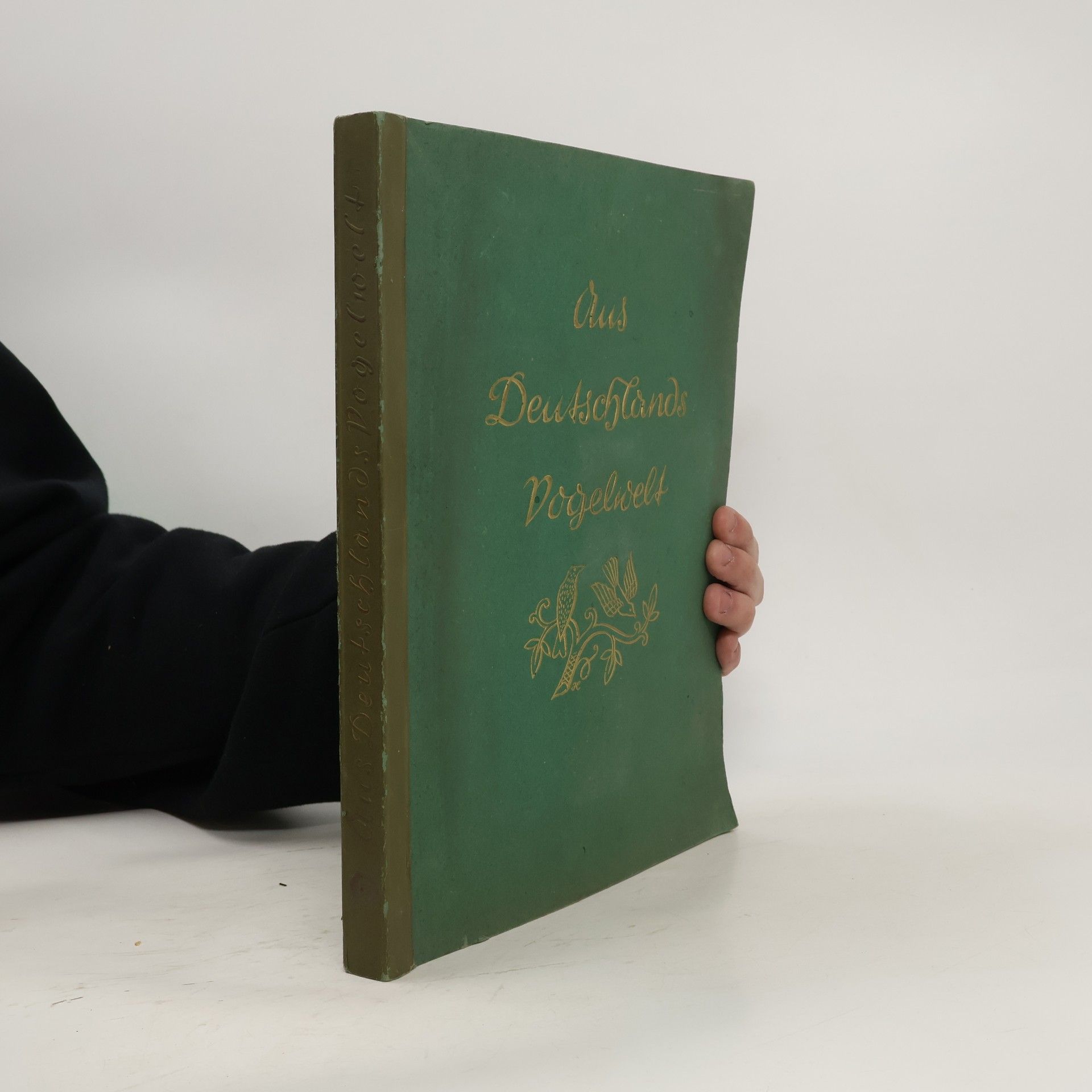 Autorenkollektiv Aus Deutschlands Vogelwelt