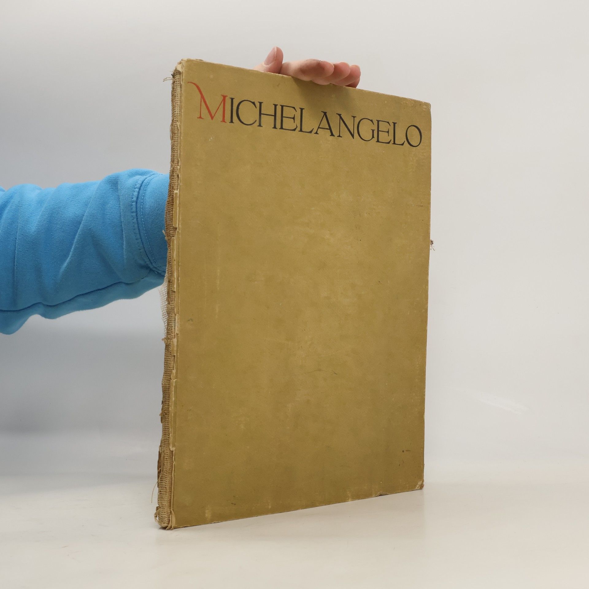 Otto Zoff Die Handzeichnungen des Michelangelo Buonarotti
