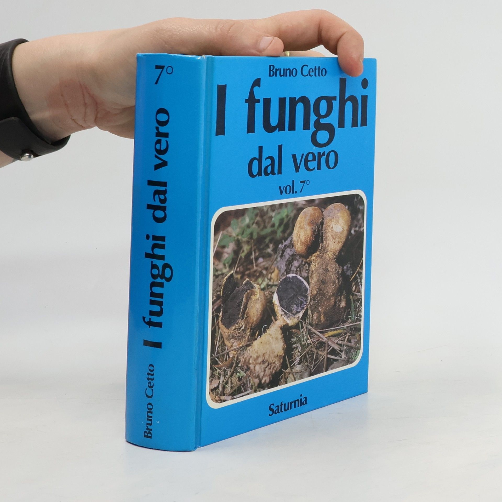 Bruno Cetto I funghi dal vero. Vol. 7