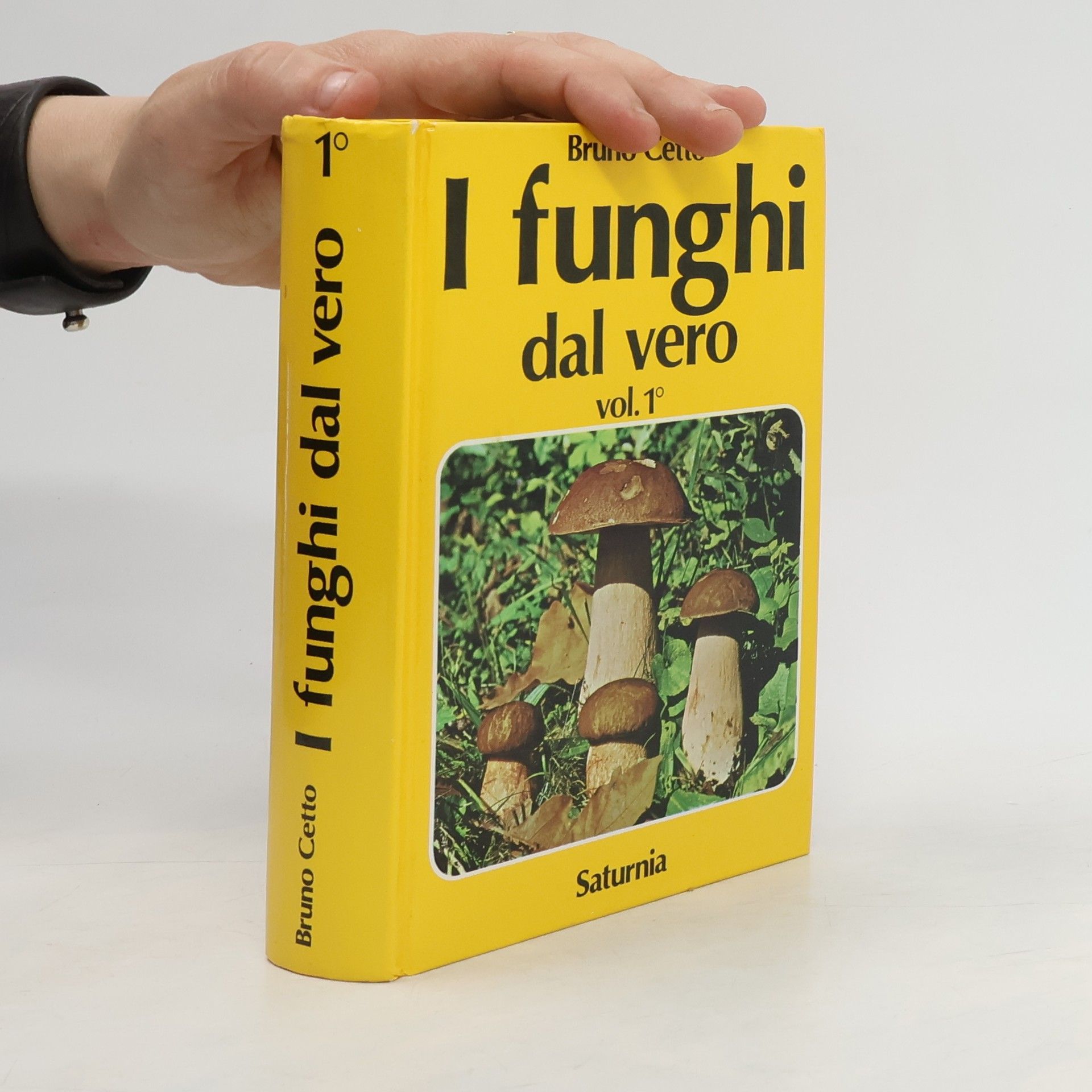 Bruno Cetto I funghi dal vero 1