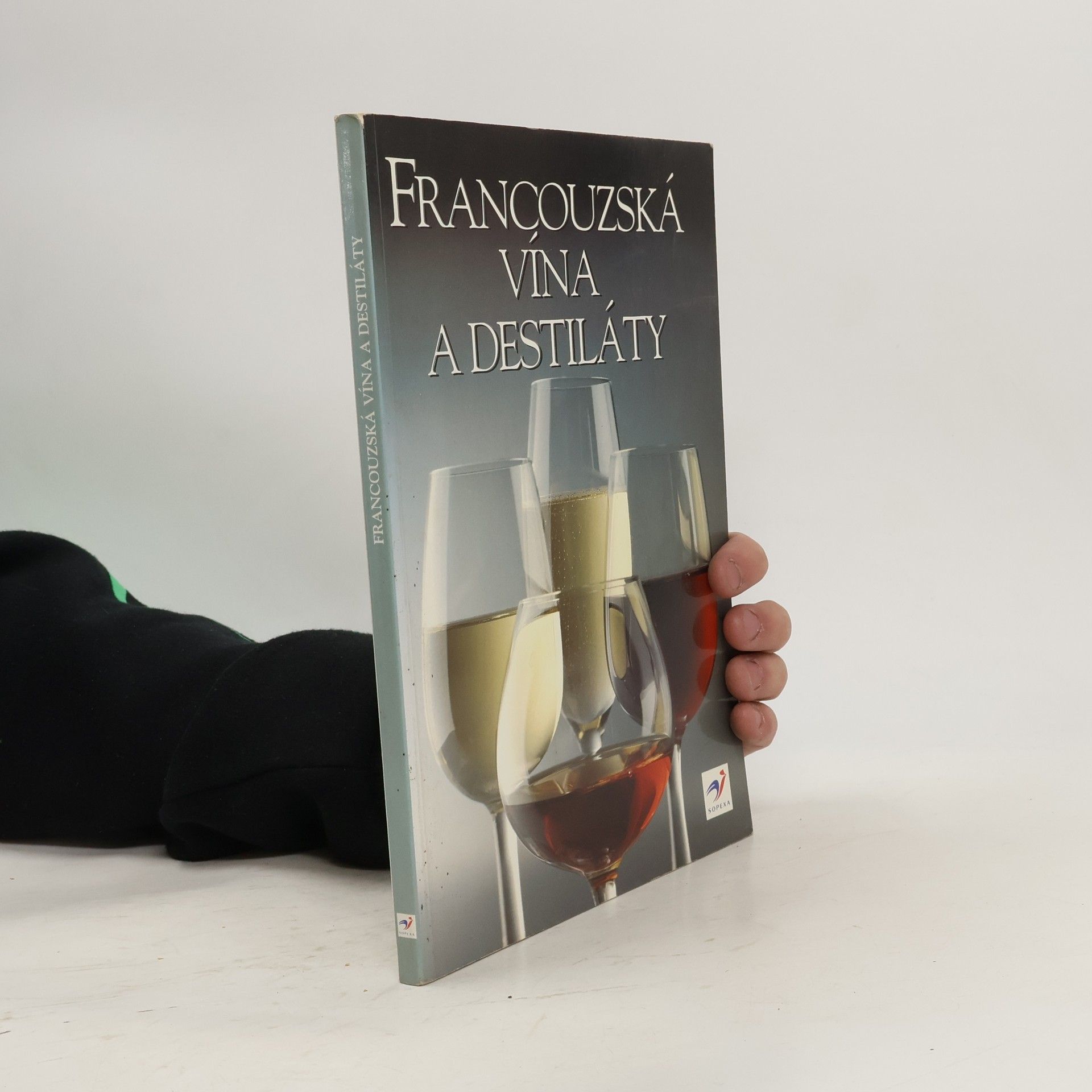 Kolektiv autorů Francouzská vína a destiláty