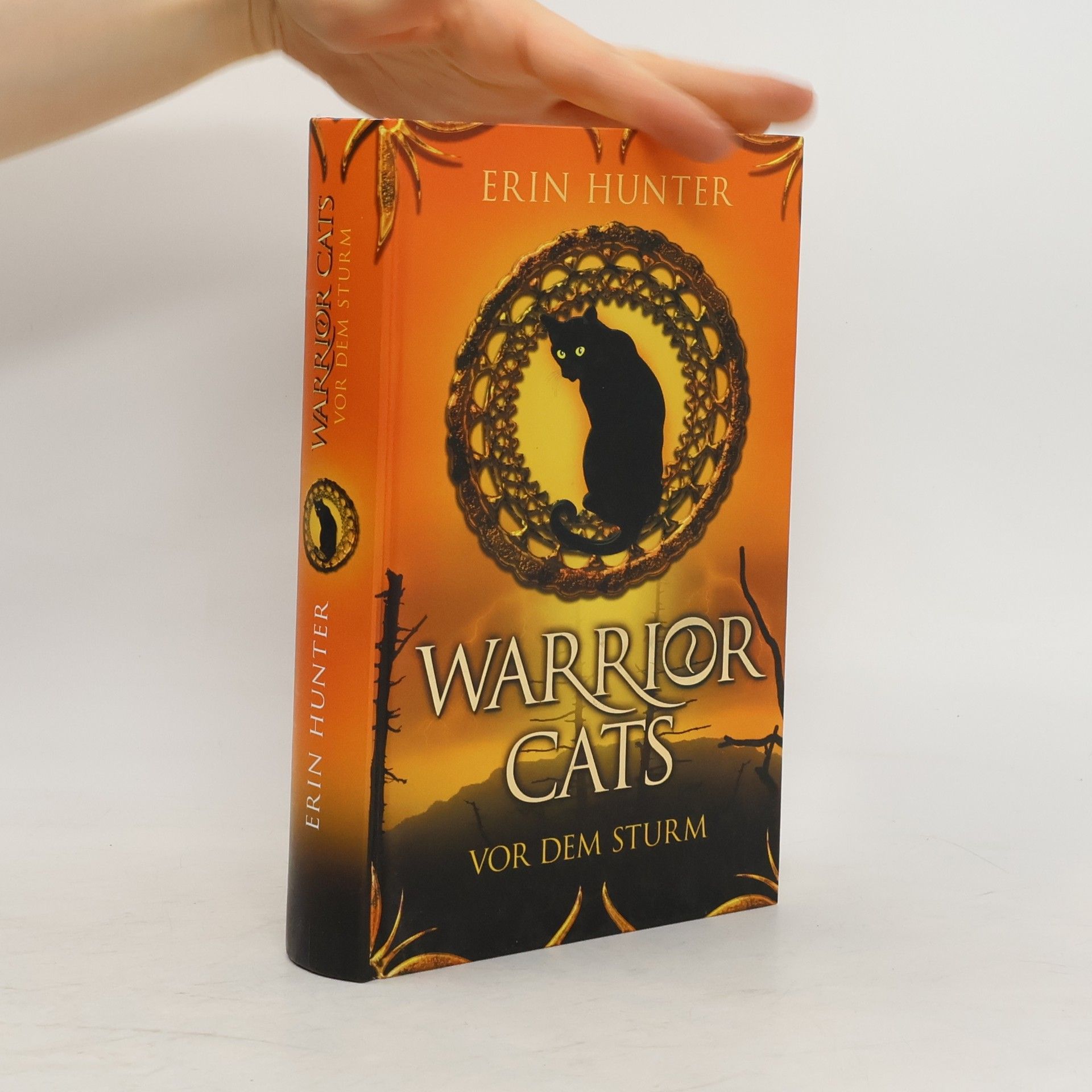 Erin Hunter Warrior Cats. Vor dem Sturm