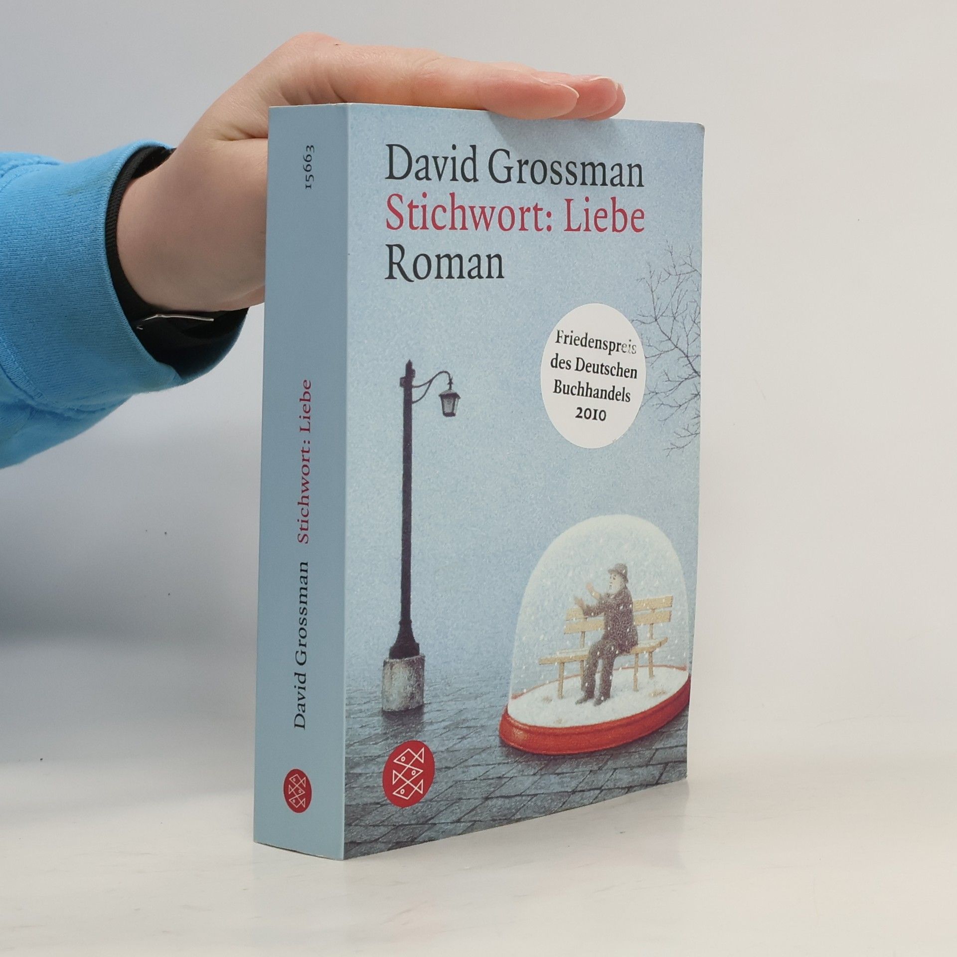 David Grossman Stichwort: Liebe