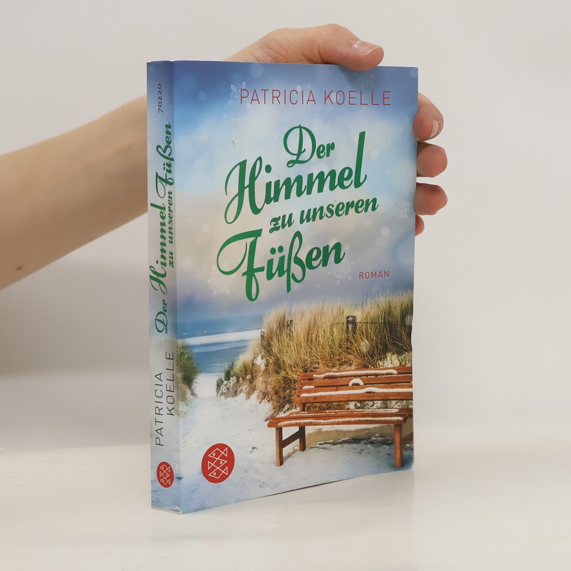 Patricia Koelle Der Himmel zu unseren Füßen