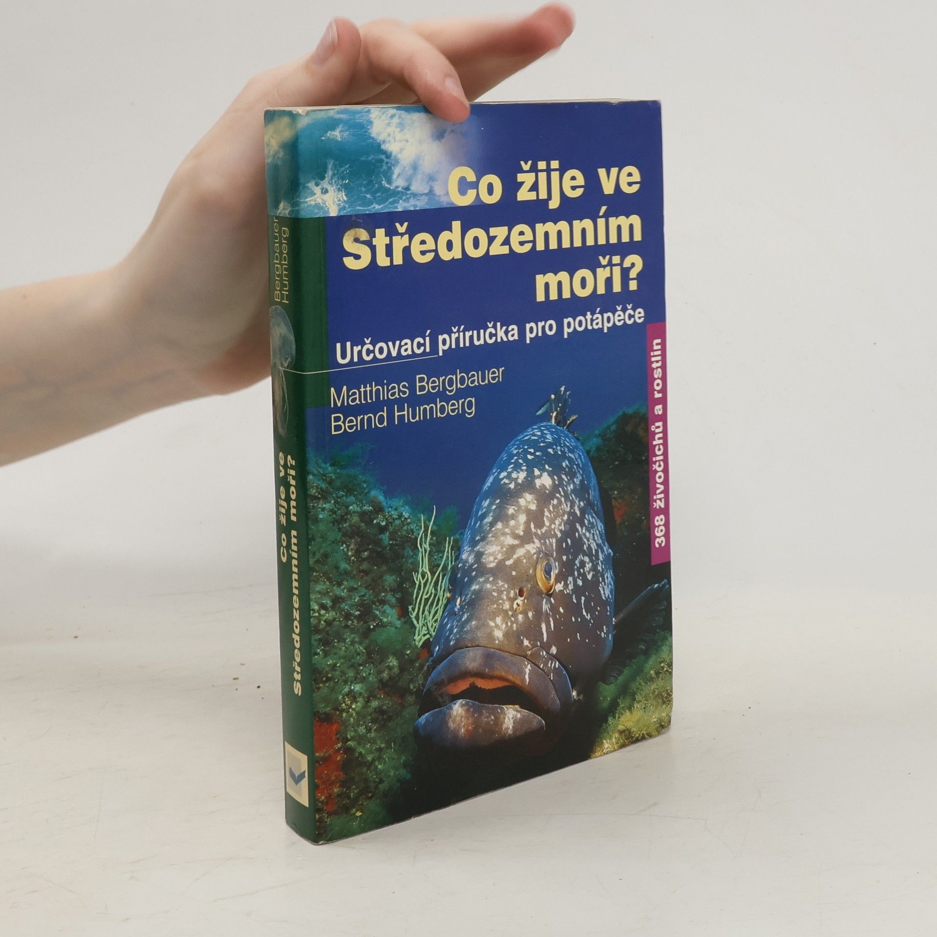 Matthias Bergbauer Co žije ve Středozemním moři?