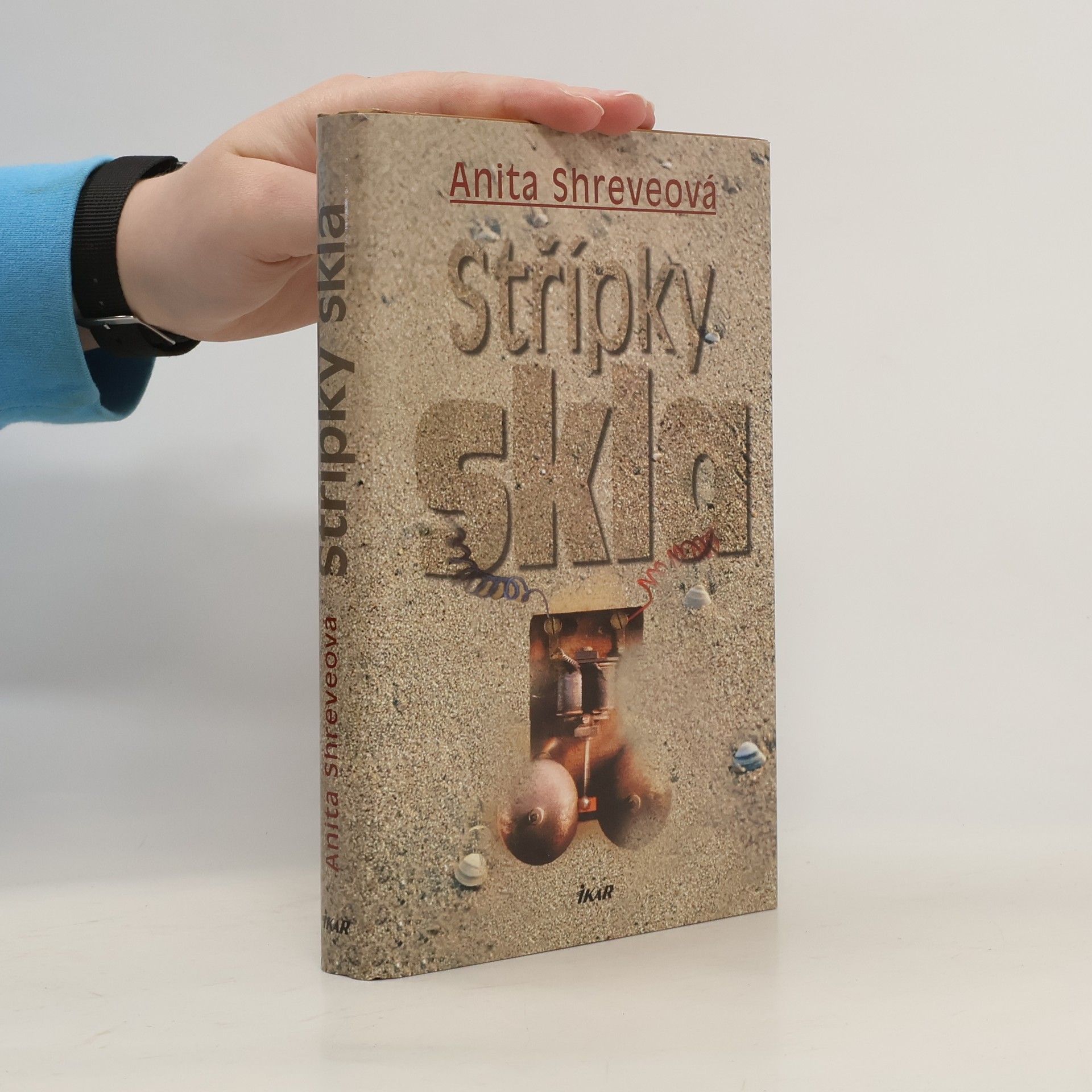 Anita Shreve Střípky skla