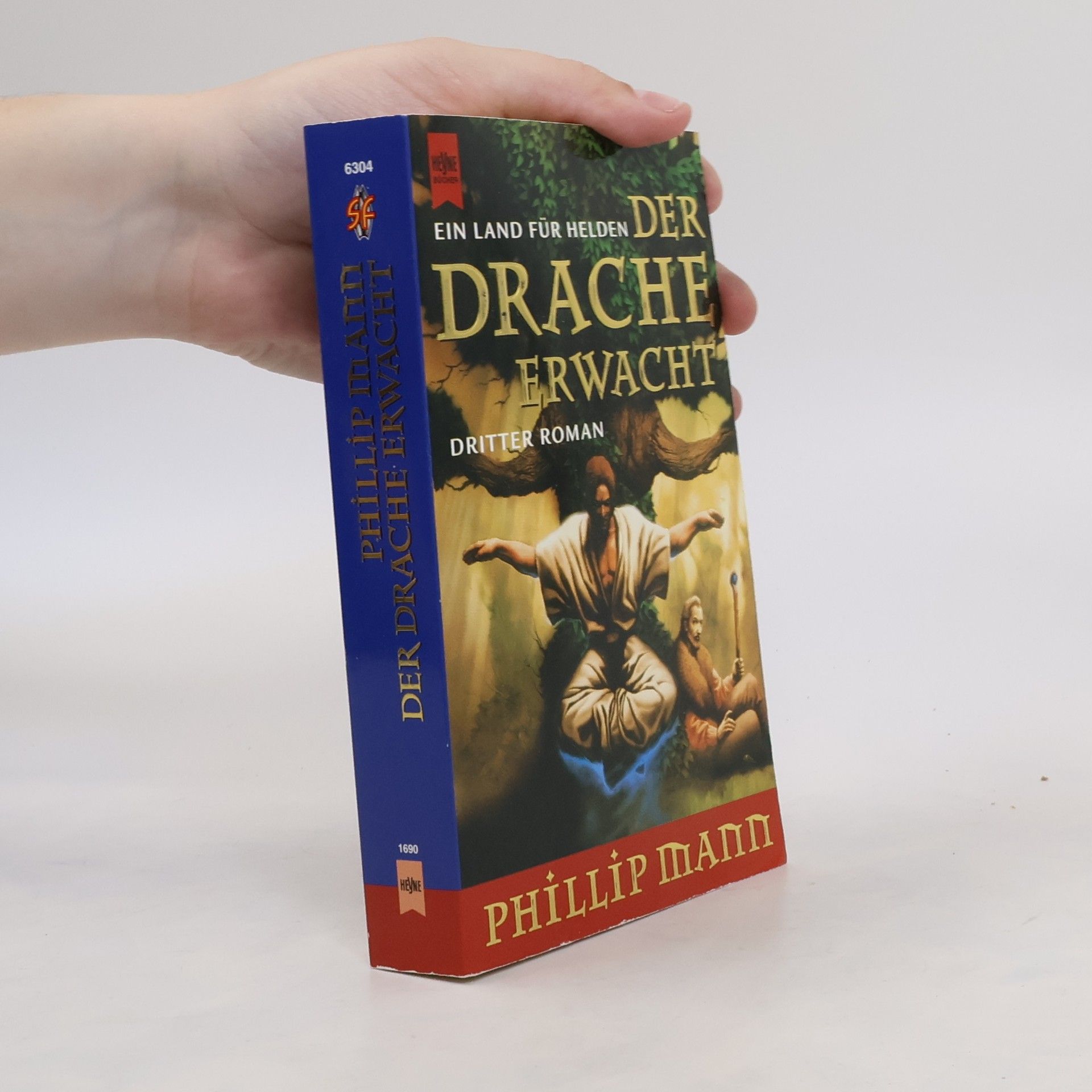 Phillip Mann Der Drache erwacht. Ein Land für Helden 3.