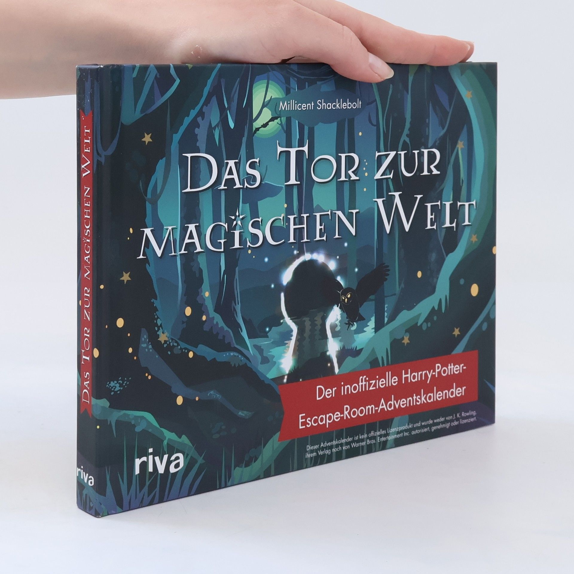 Millicent Shacklebolt Das Tor zur magischen Welt